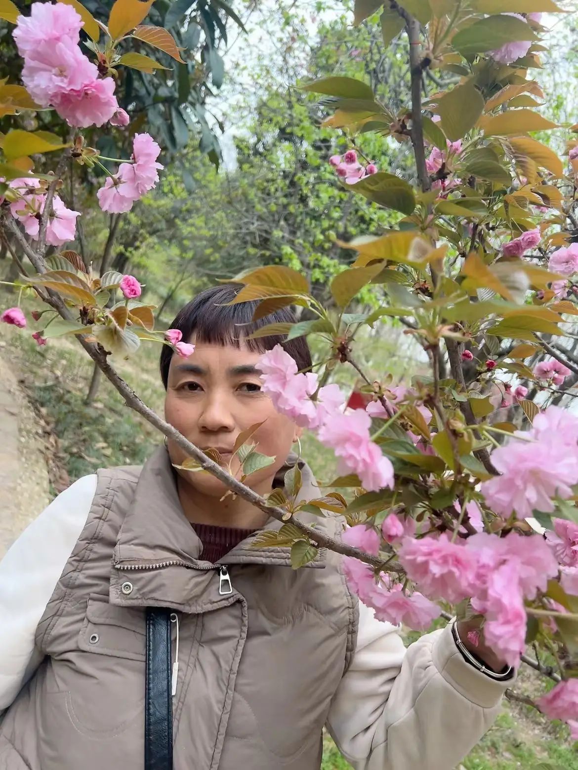 科隆千树园旅行图片 3