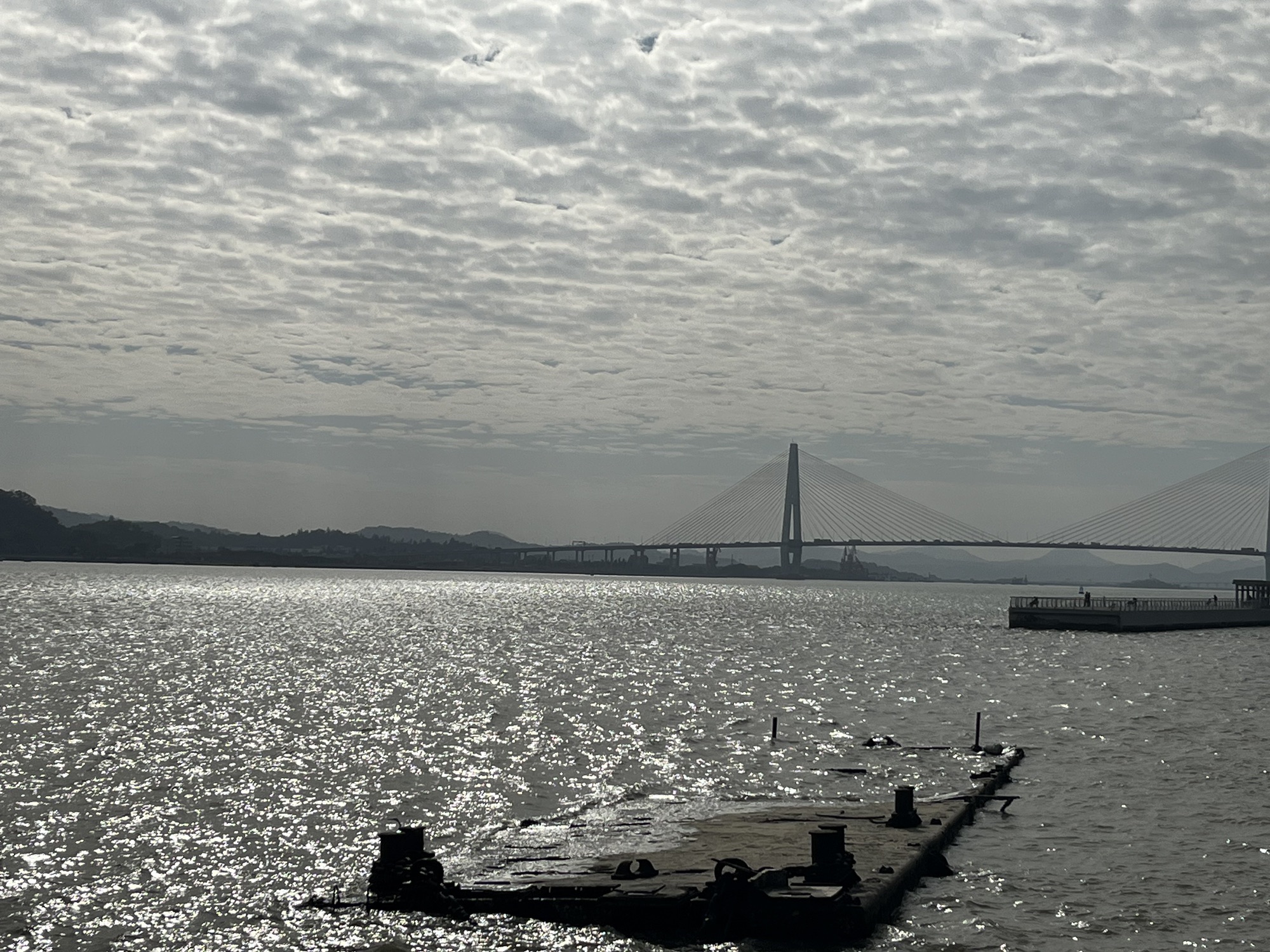 观海长廊旅行图片 3