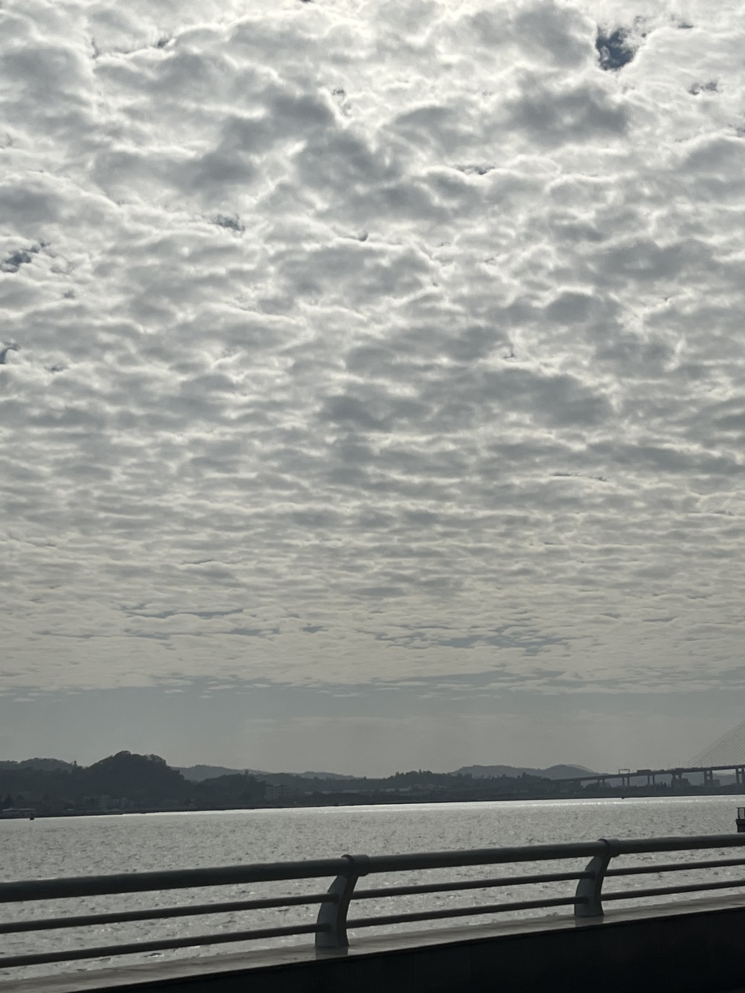 观海长廊旅行图片 2
