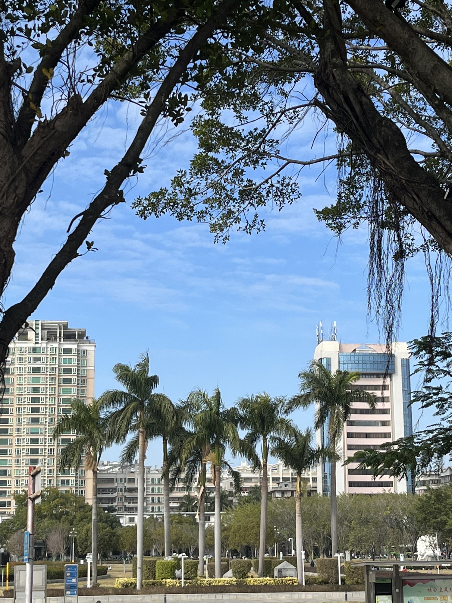 观海长廊旅行图片 1