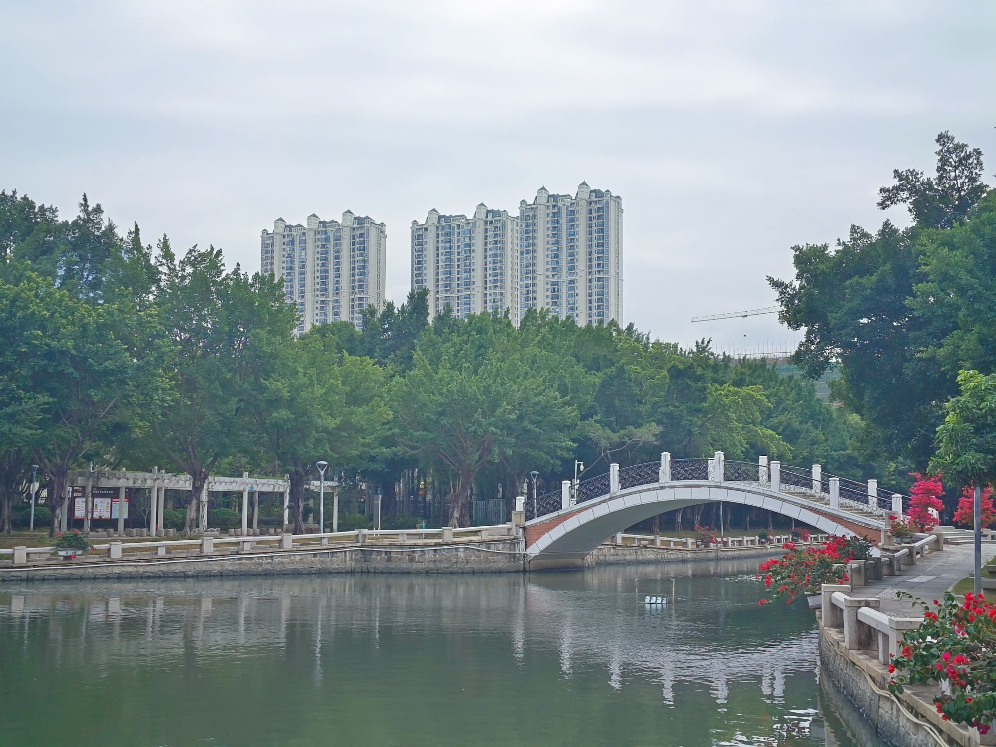 星湖公园旅行图片 2
