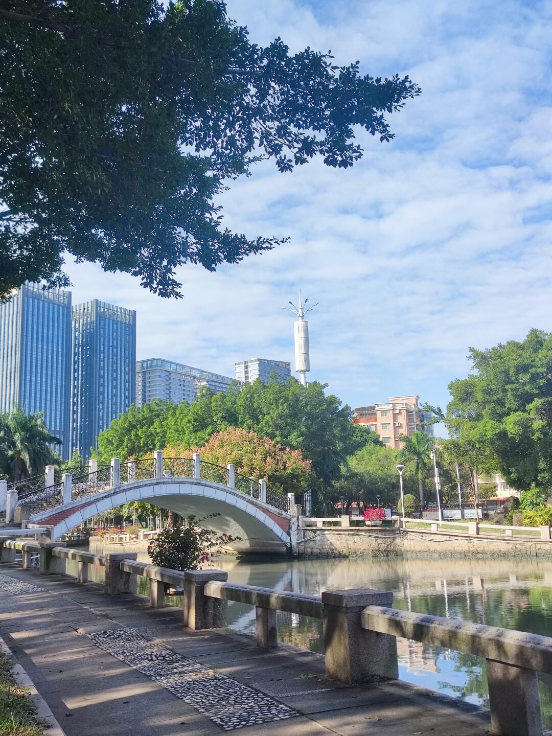 星湖公园旅行图片 3
