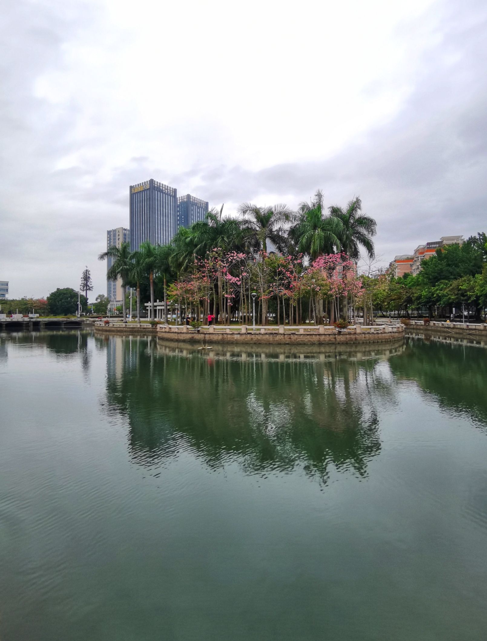 星湖公园旅行图片 2