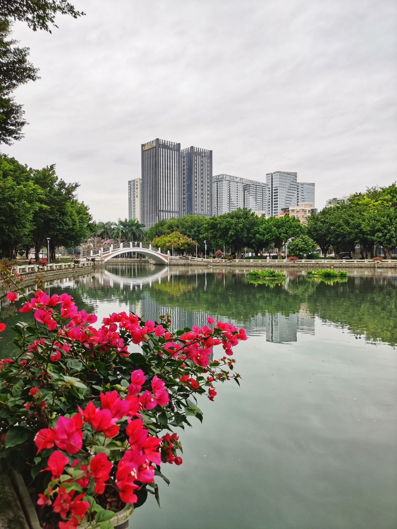 星湖公园旅行图片 3