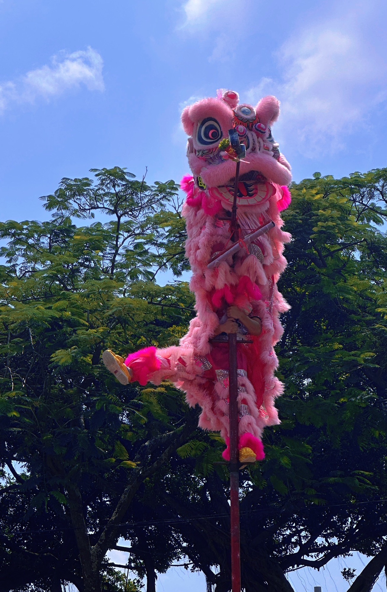 人民广场旅行图片 1