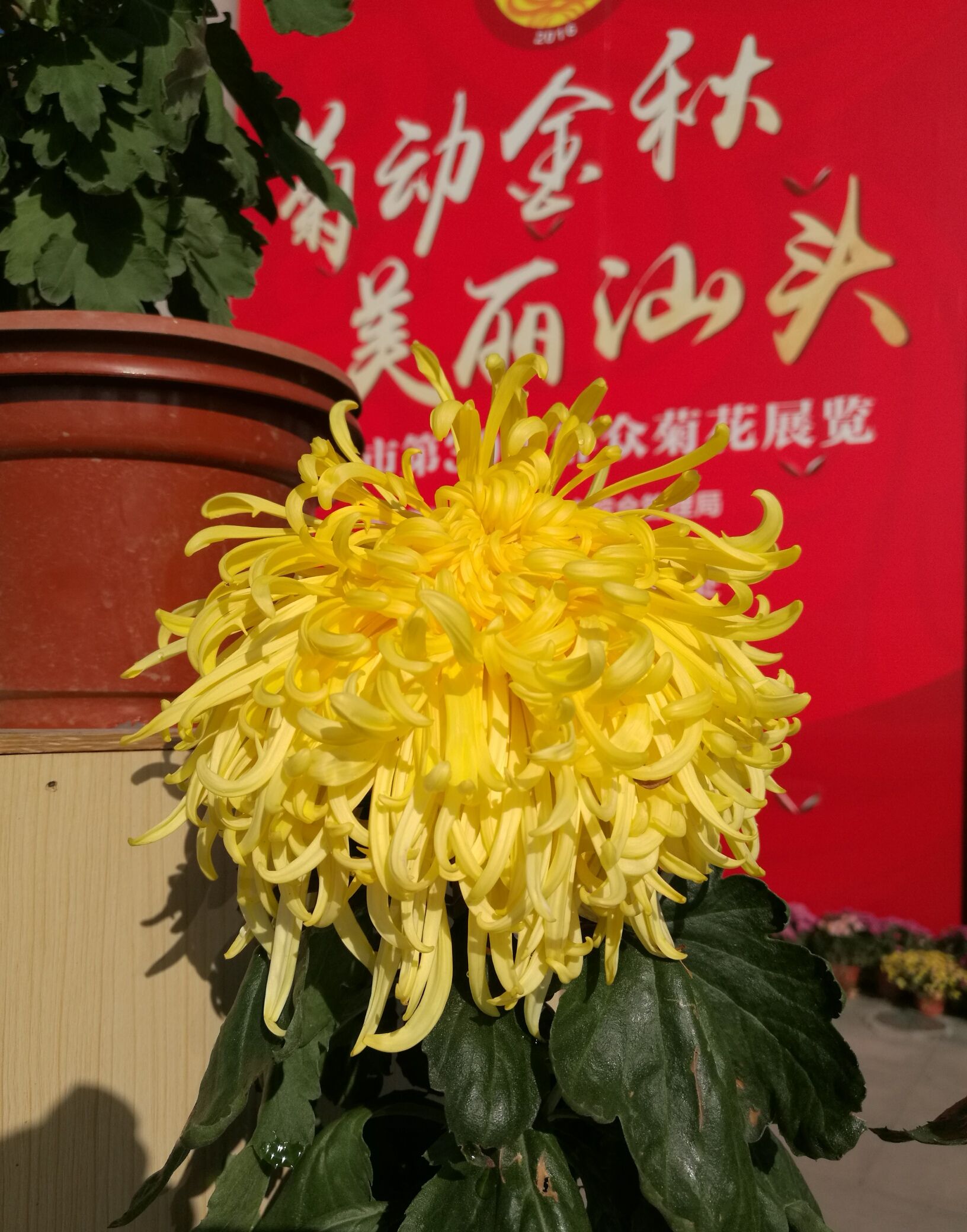 人民广场旅行图片 1