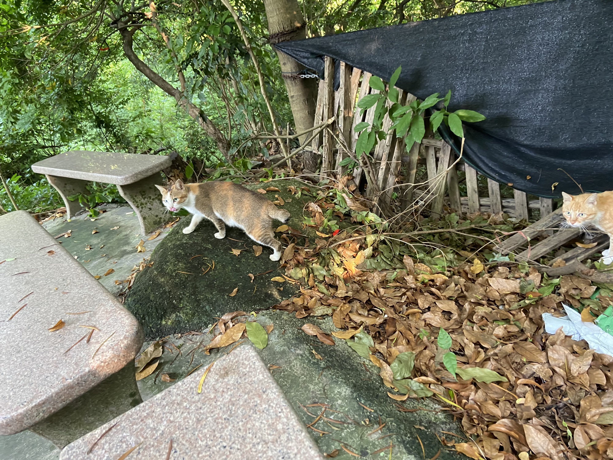 东山风景区旅行图片 2