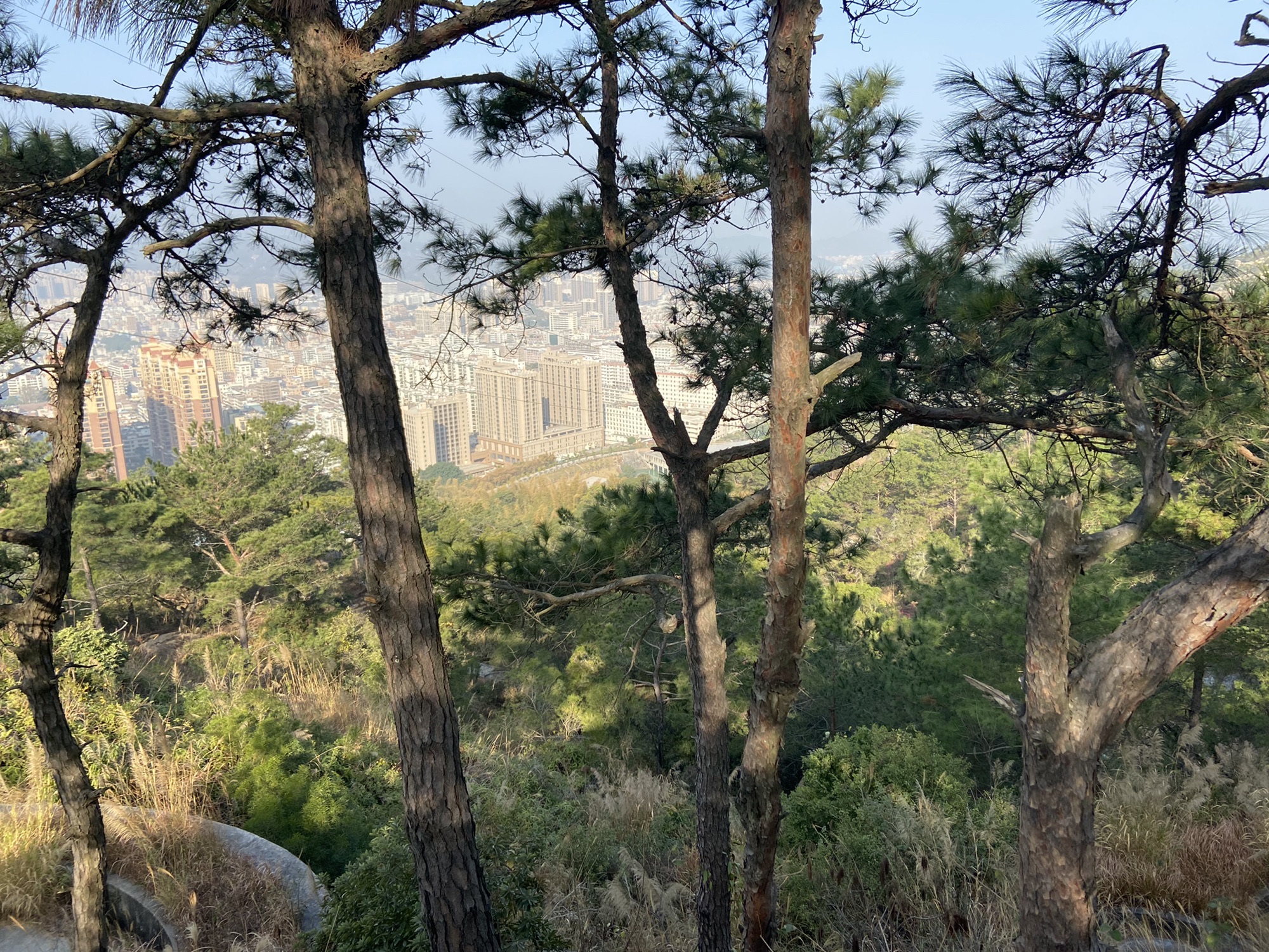东山风景区旅行图片 1