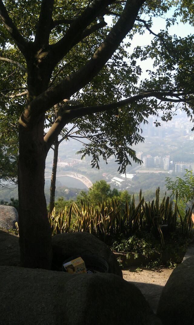 东山风景区旅行图片 3