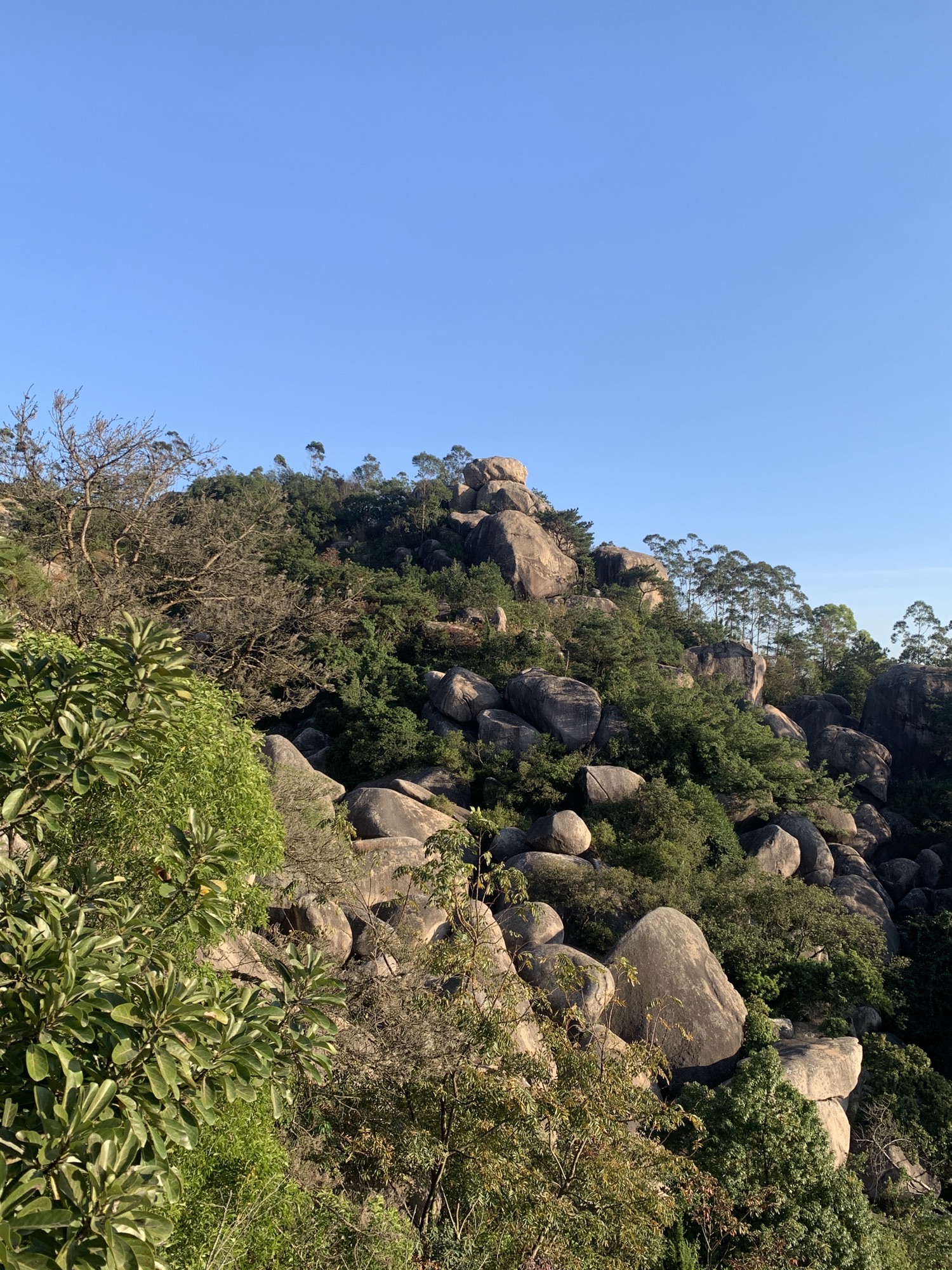 东山风景区旅行图片 3
