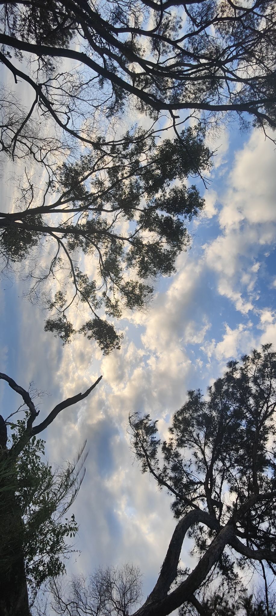 东山风景区旅行图片 3