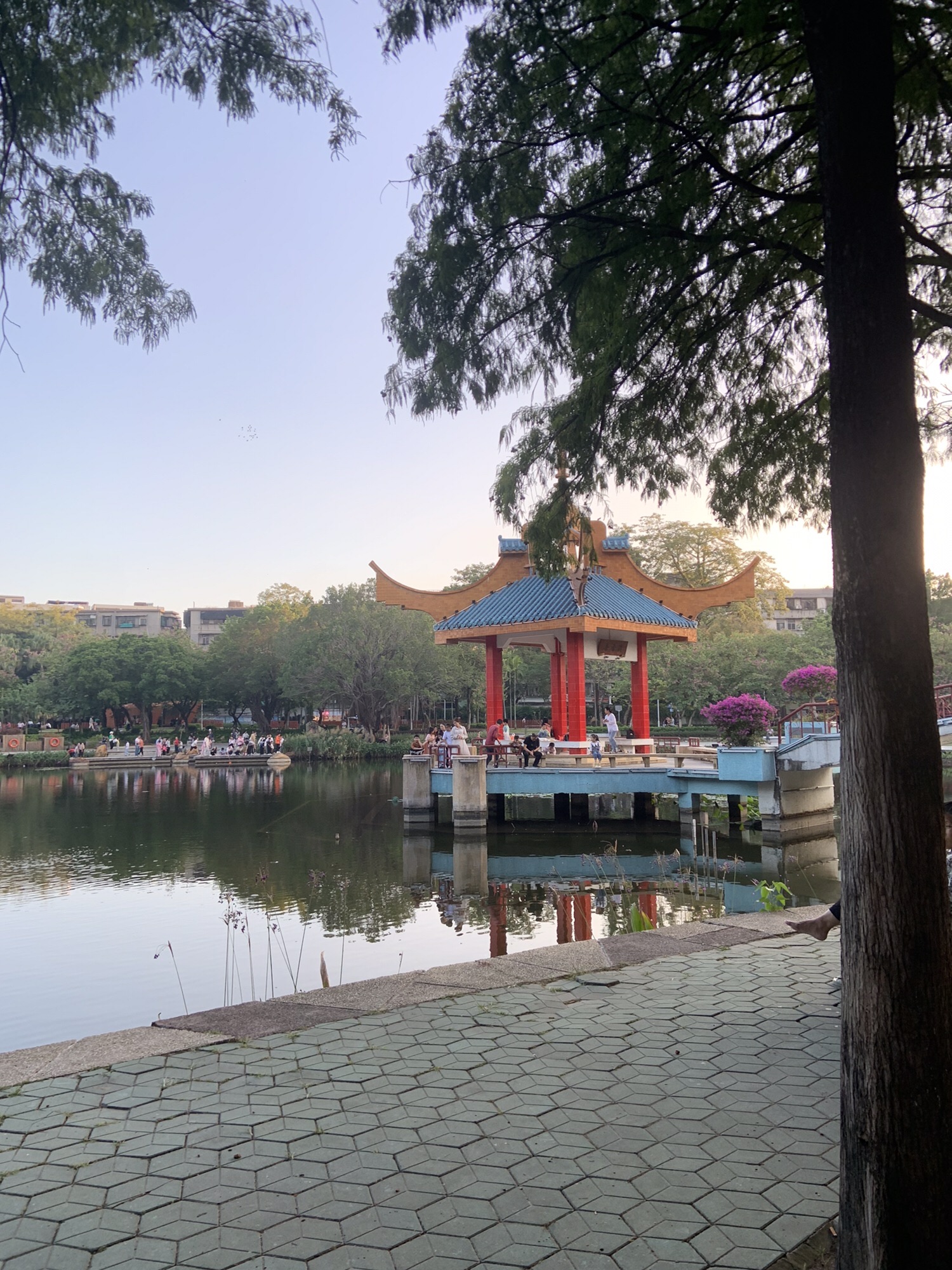 金砂公园旅行图片 2