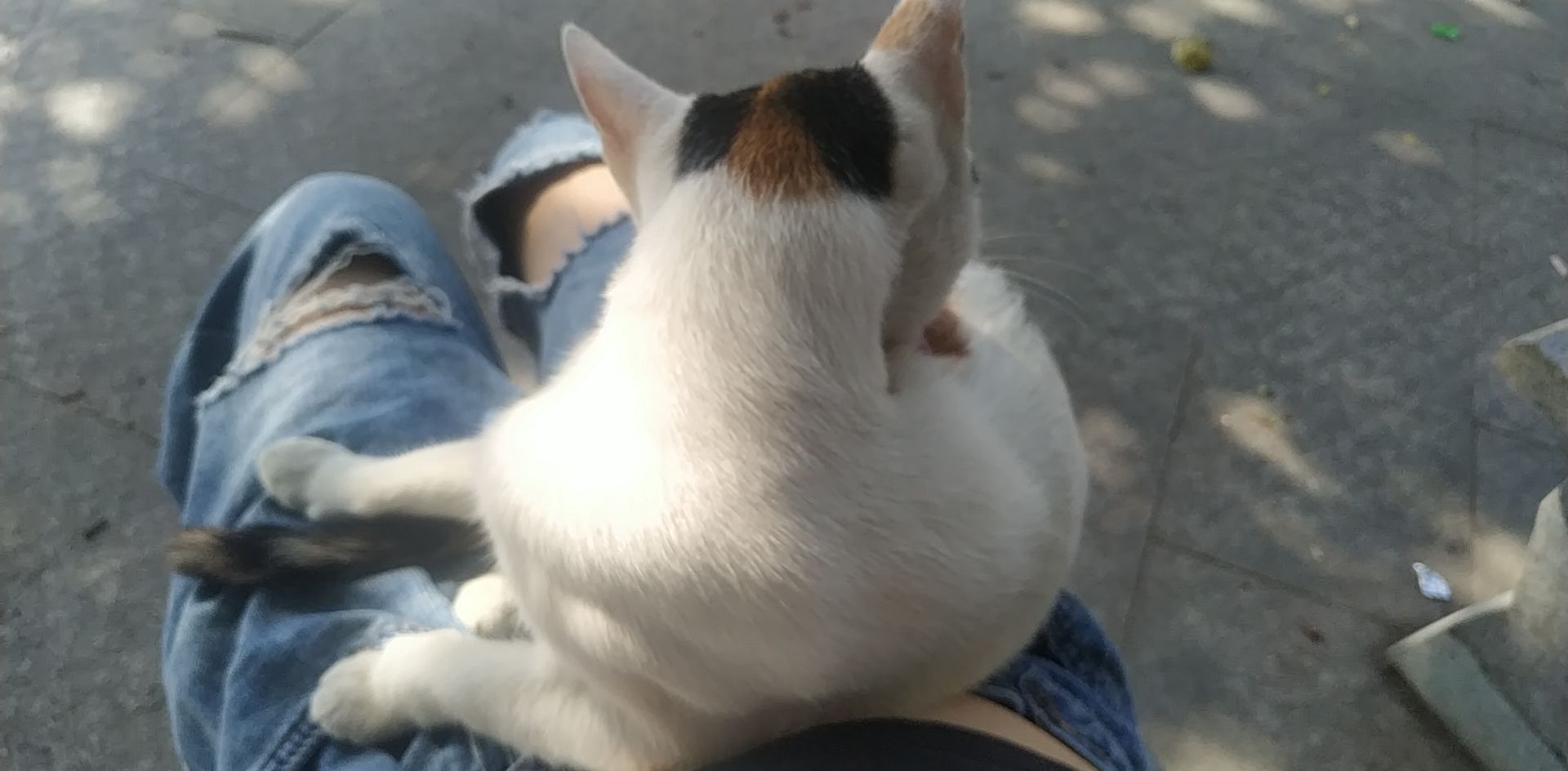 祥符塔旅行图片 1