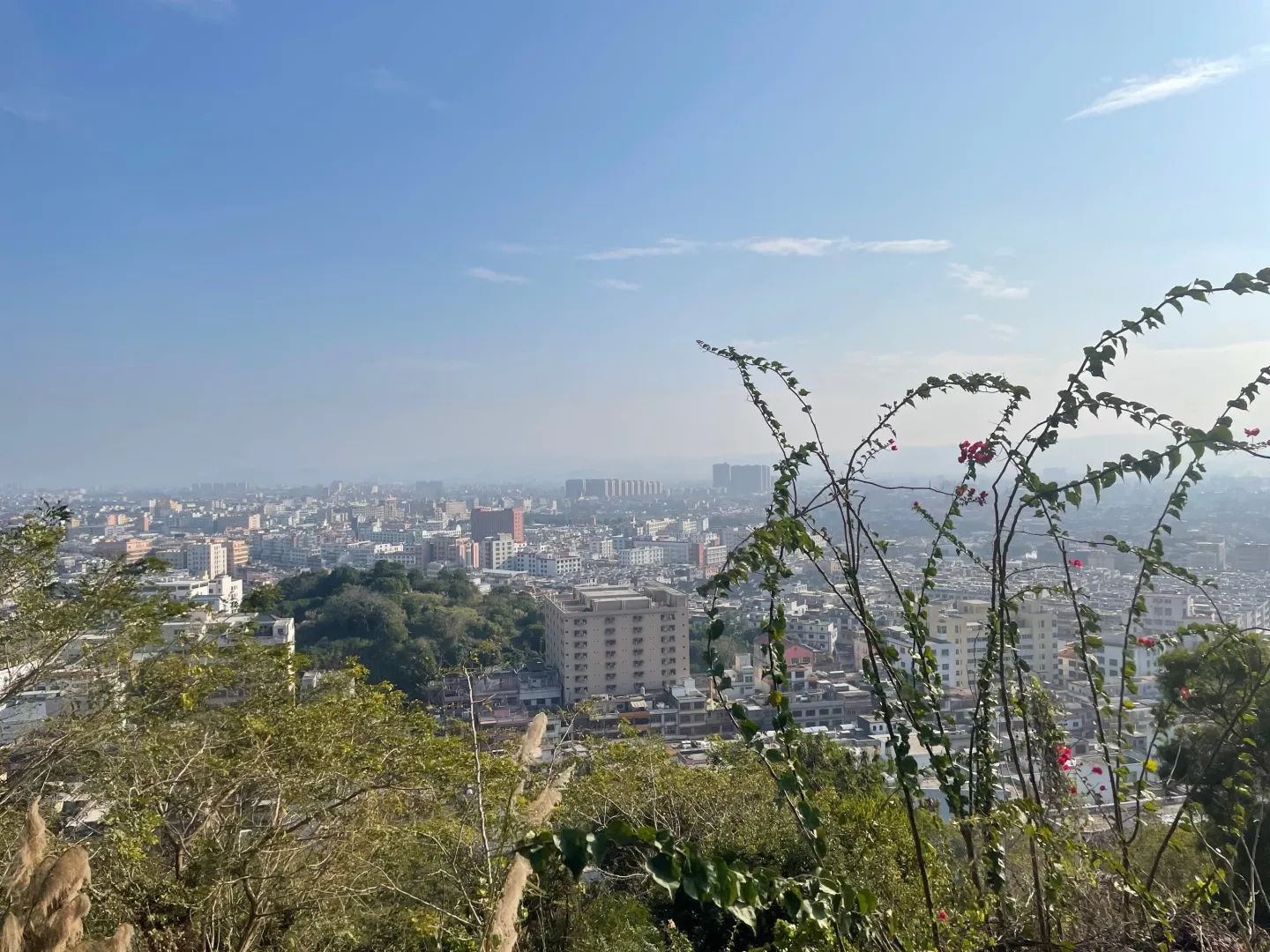 祥符塔旅行图片 3
