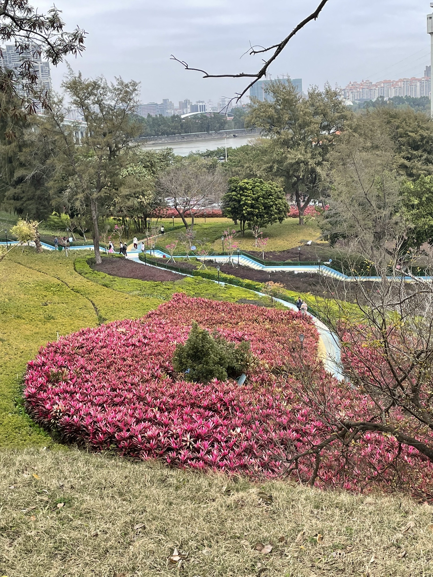 妈屿岛旅游区旅行图片 3