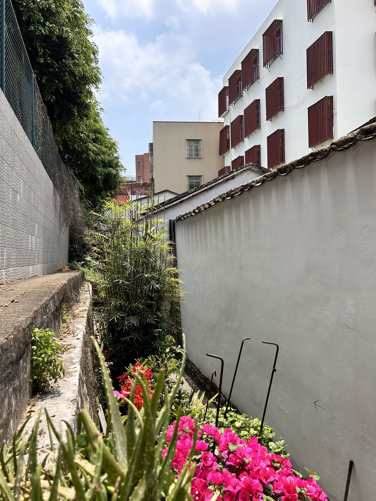 妈屿岛旅游区旅行图片 2