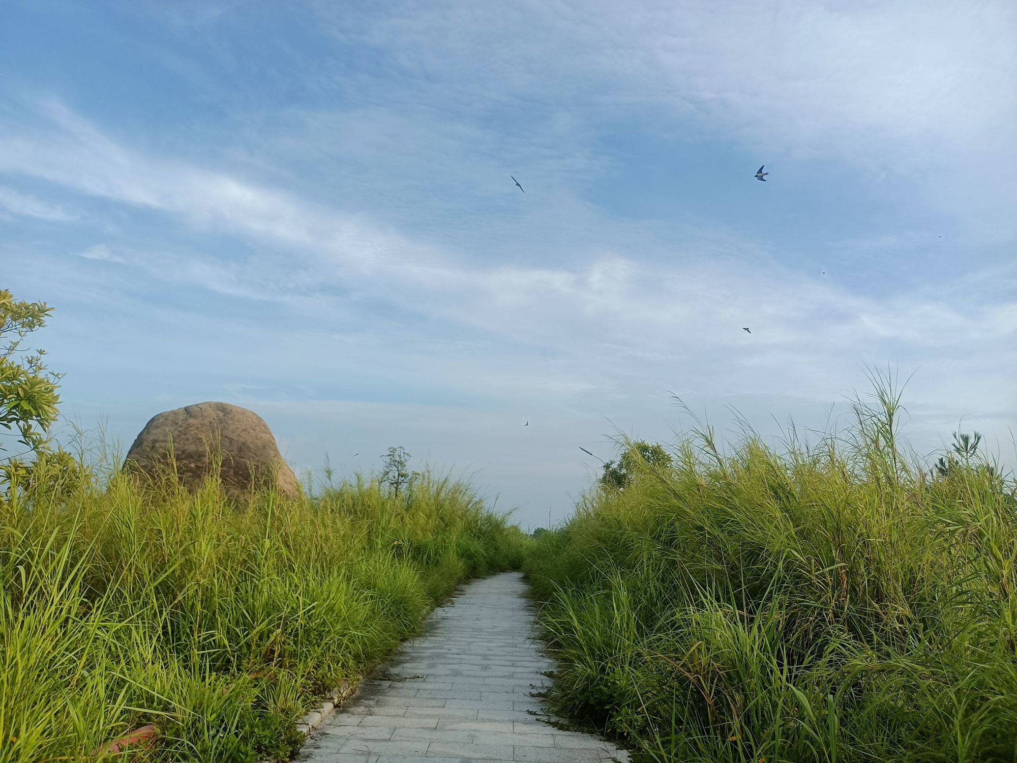 桑浦山风景区旅行图片 1