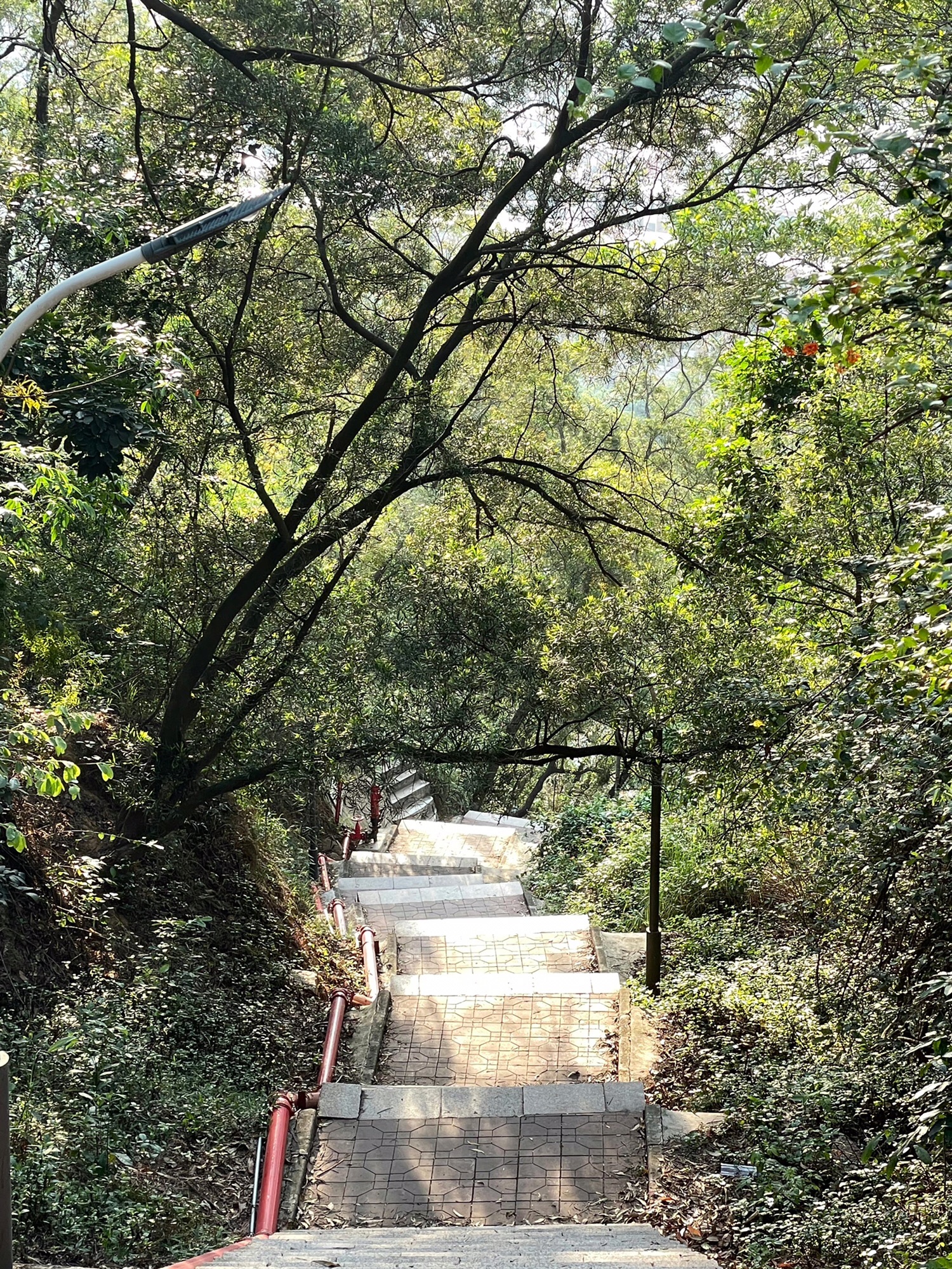 桑浦山风景区旅行图片 3