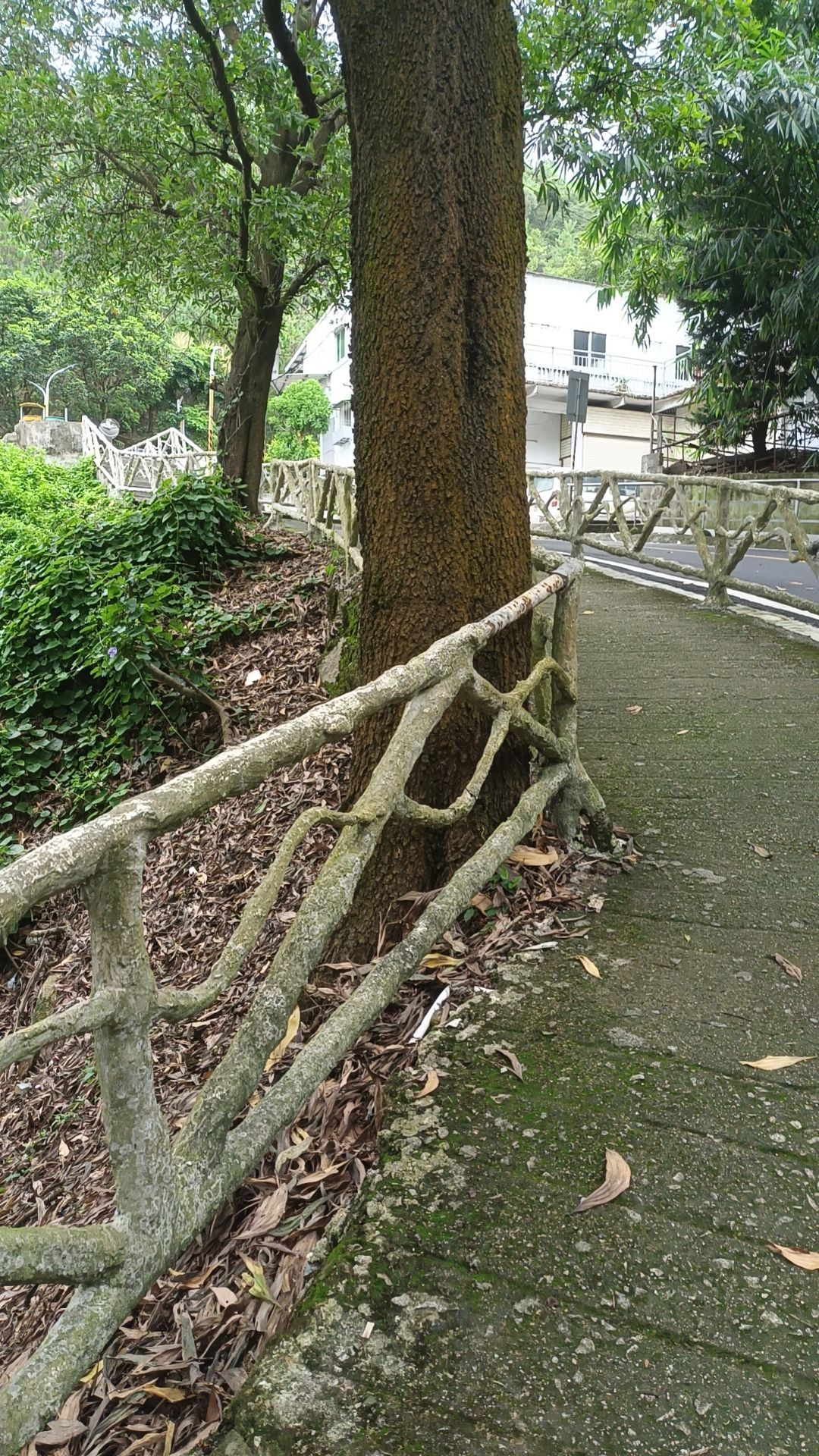 桑浦山风景区旅行图片 2