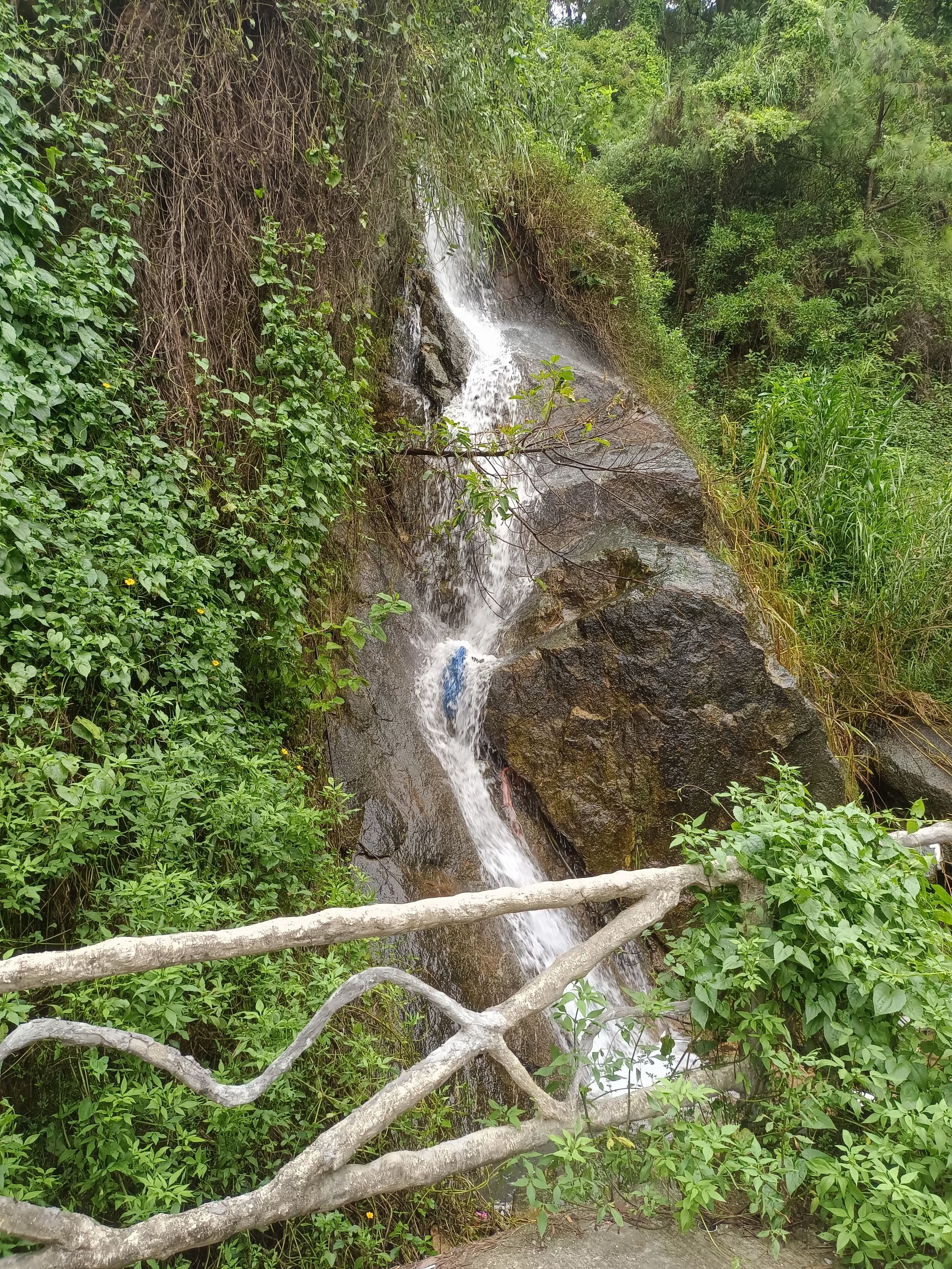 桑浦山风景区旅行图片 3