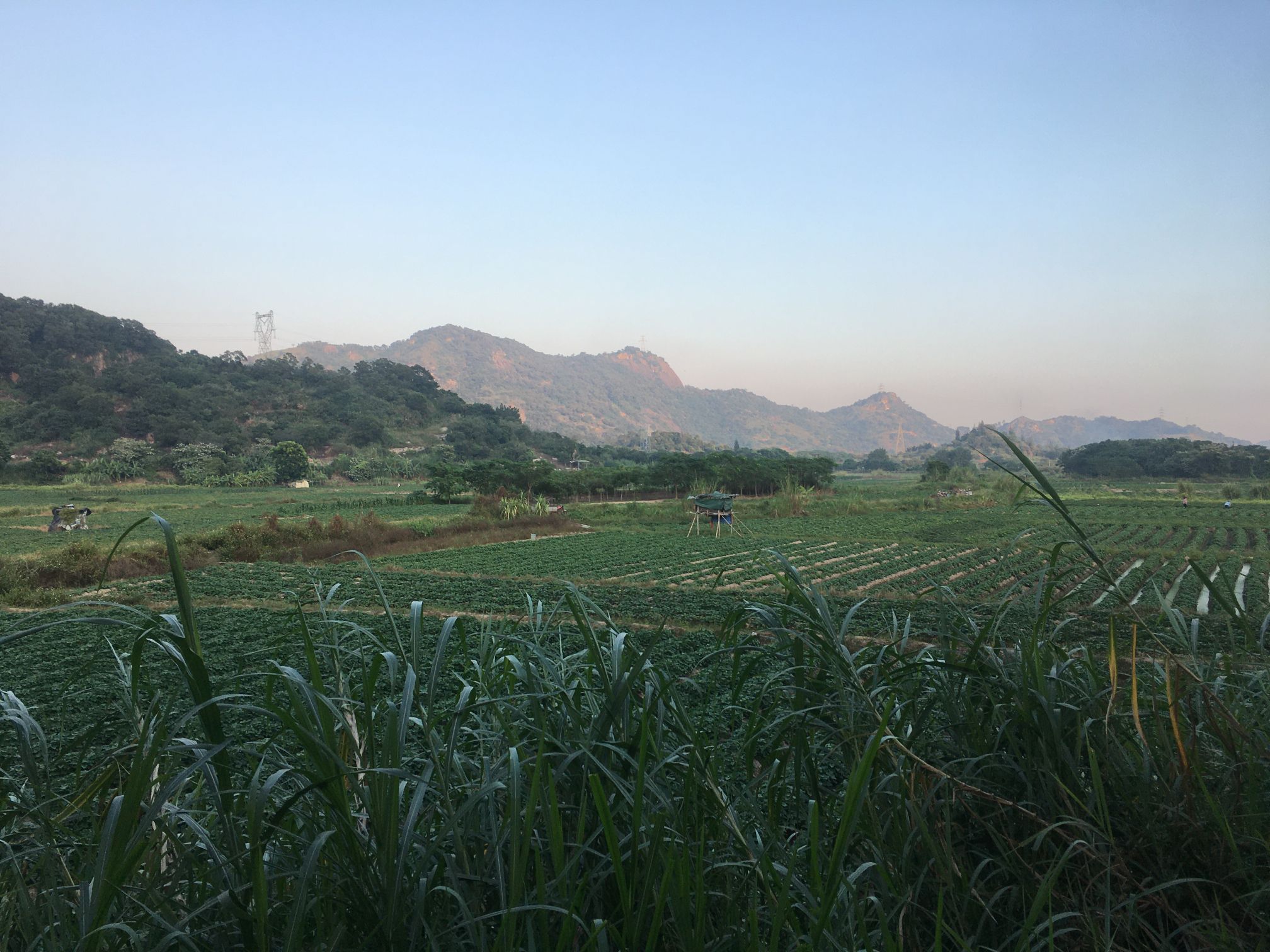 桑浦山风景区旅行图片 3