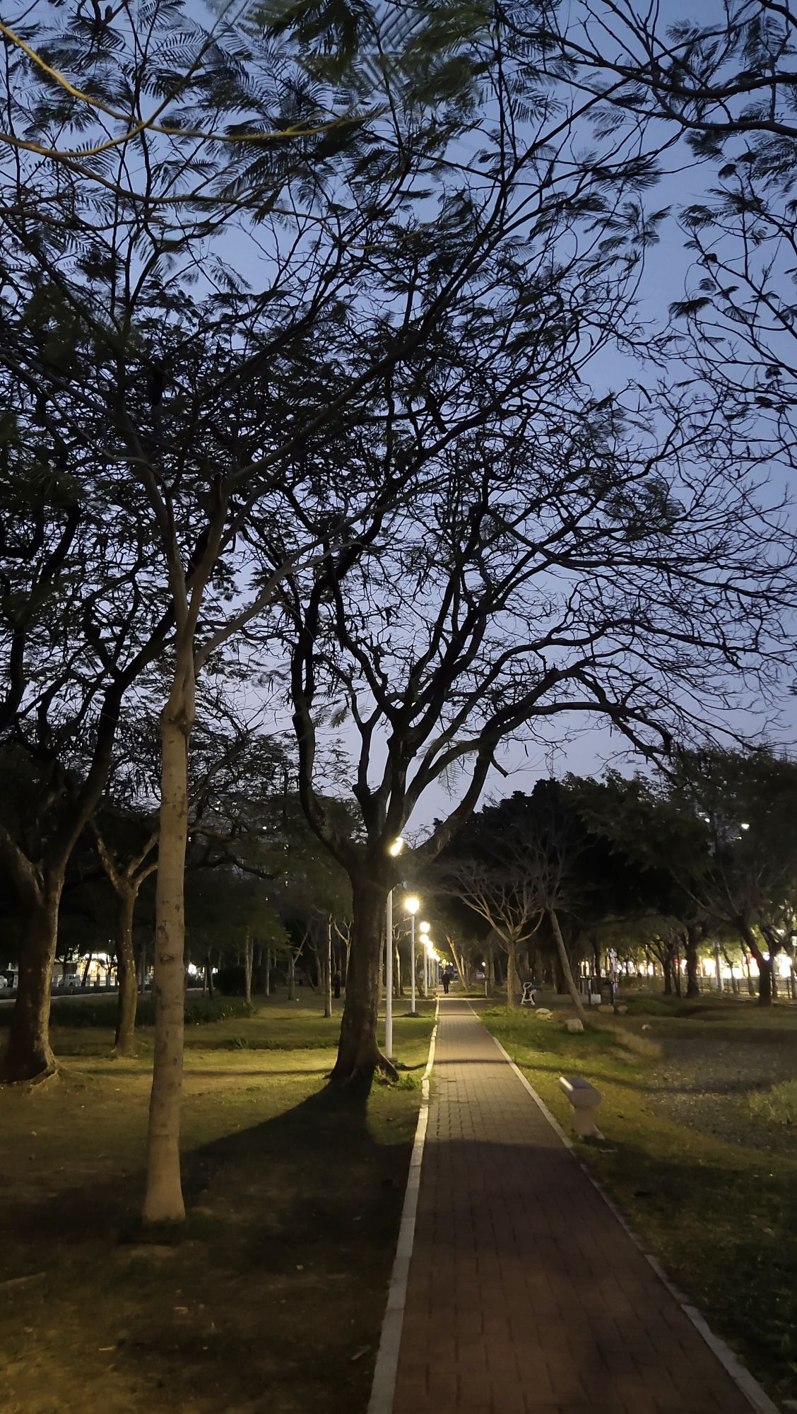 星洲公园旅行图片 1
