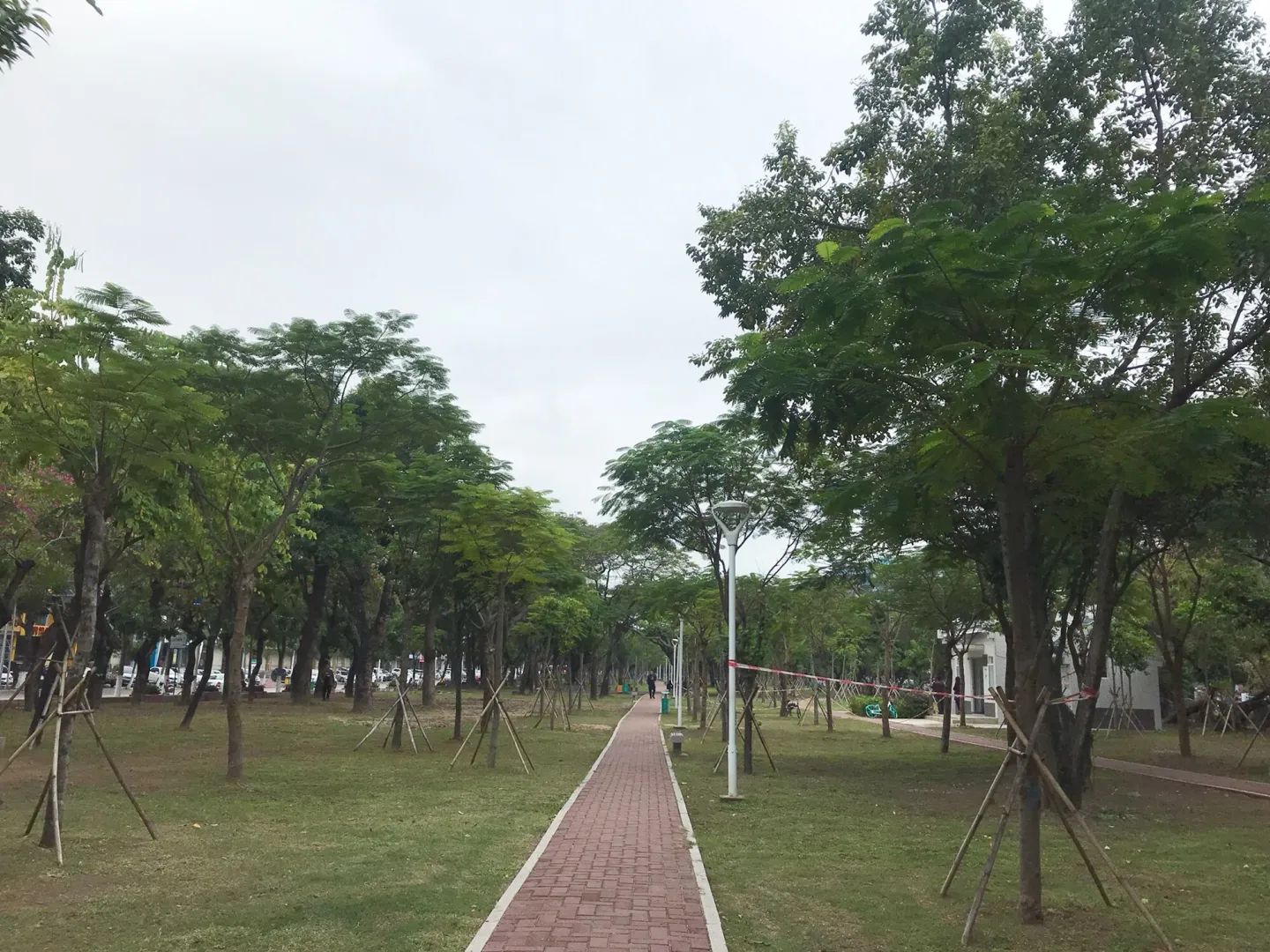 星洲公园旅行图片 1