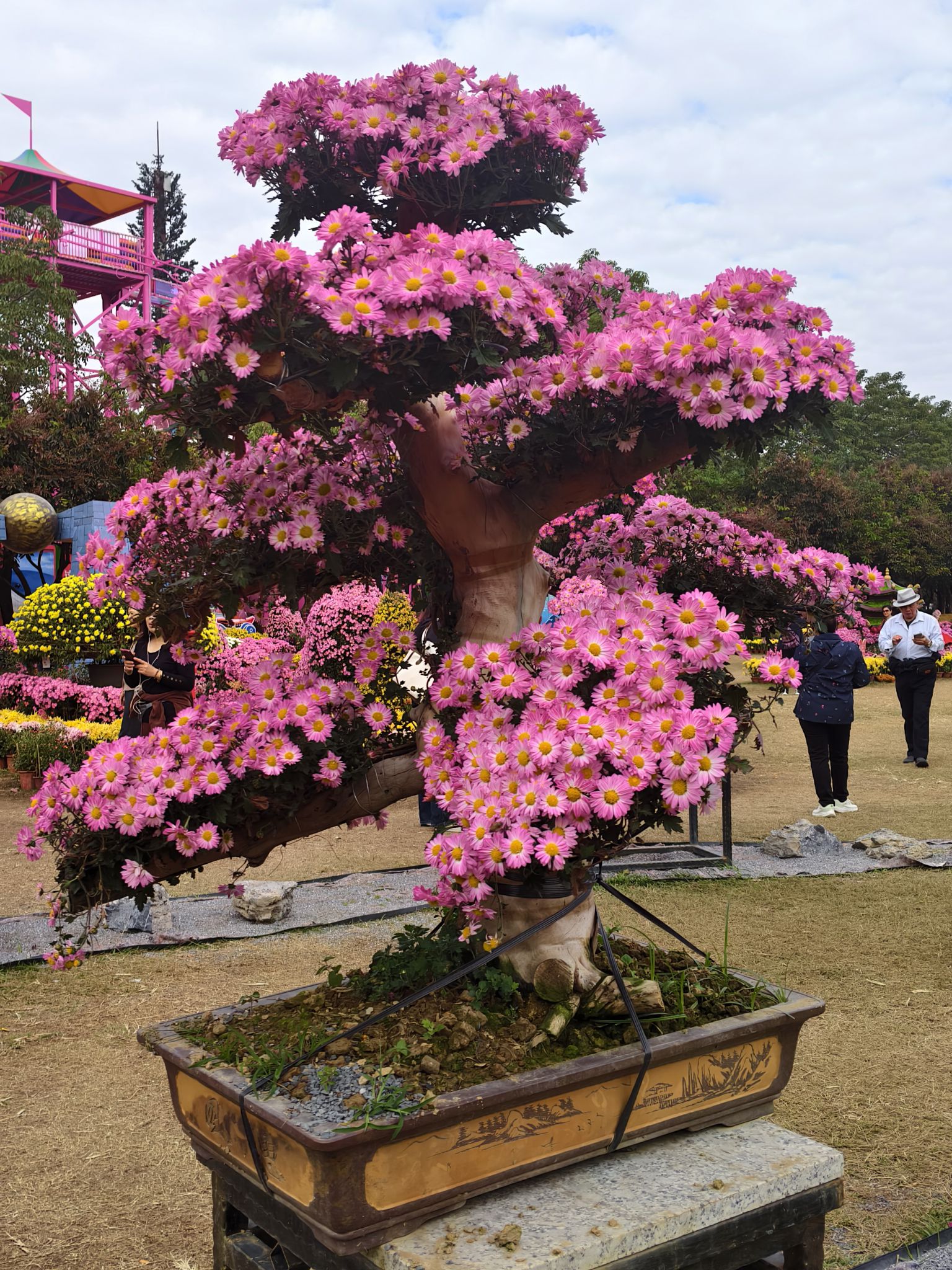 中山公园旅行图片 3