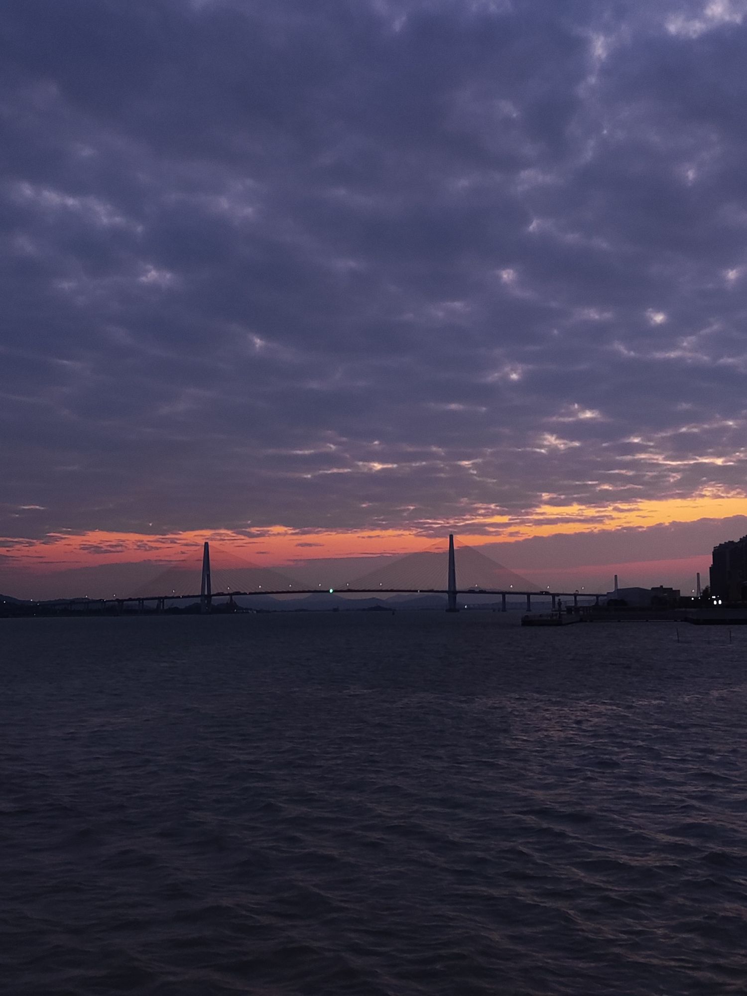 汕头海湾大桥旅行图片 2