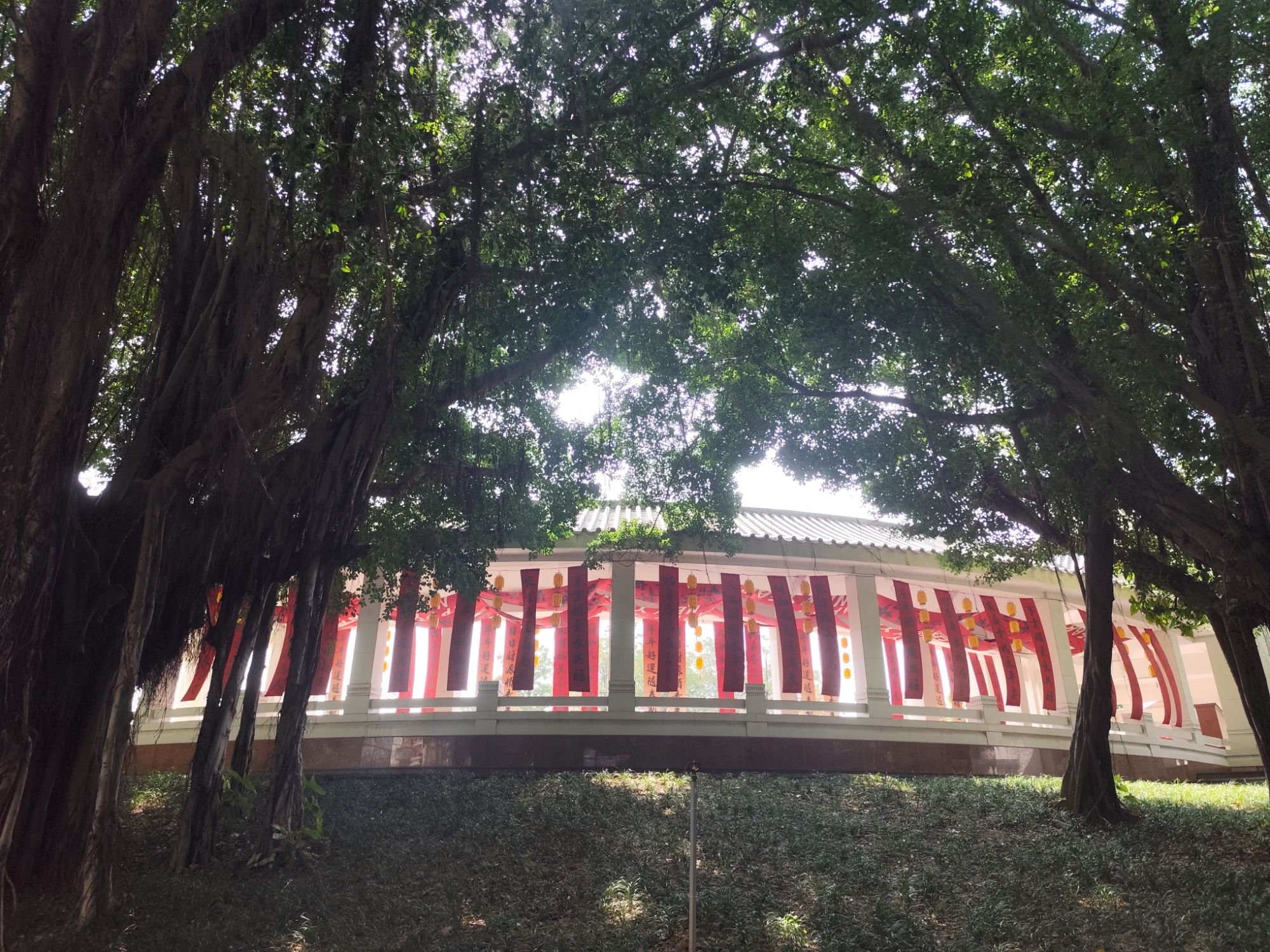 华侨公园旅行图片 1