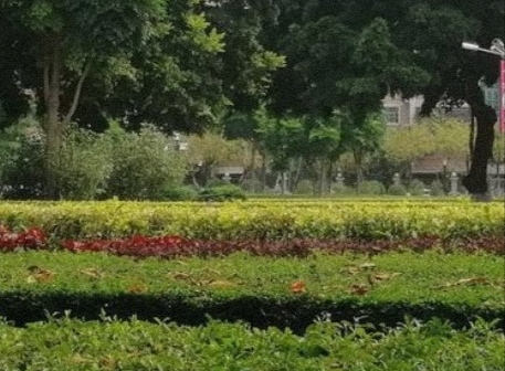 东方公园旅行图片 2