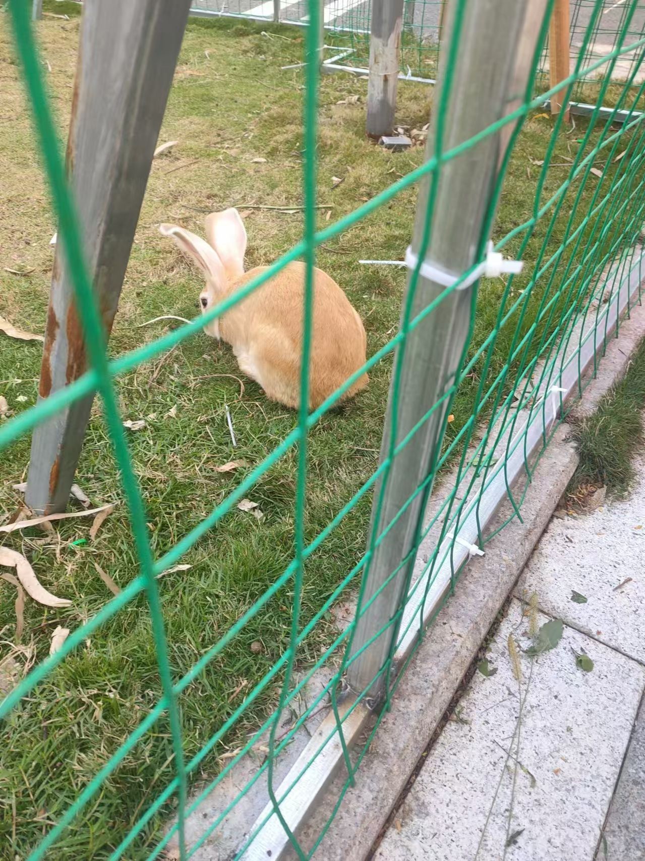 双泉公园旅行图片 3