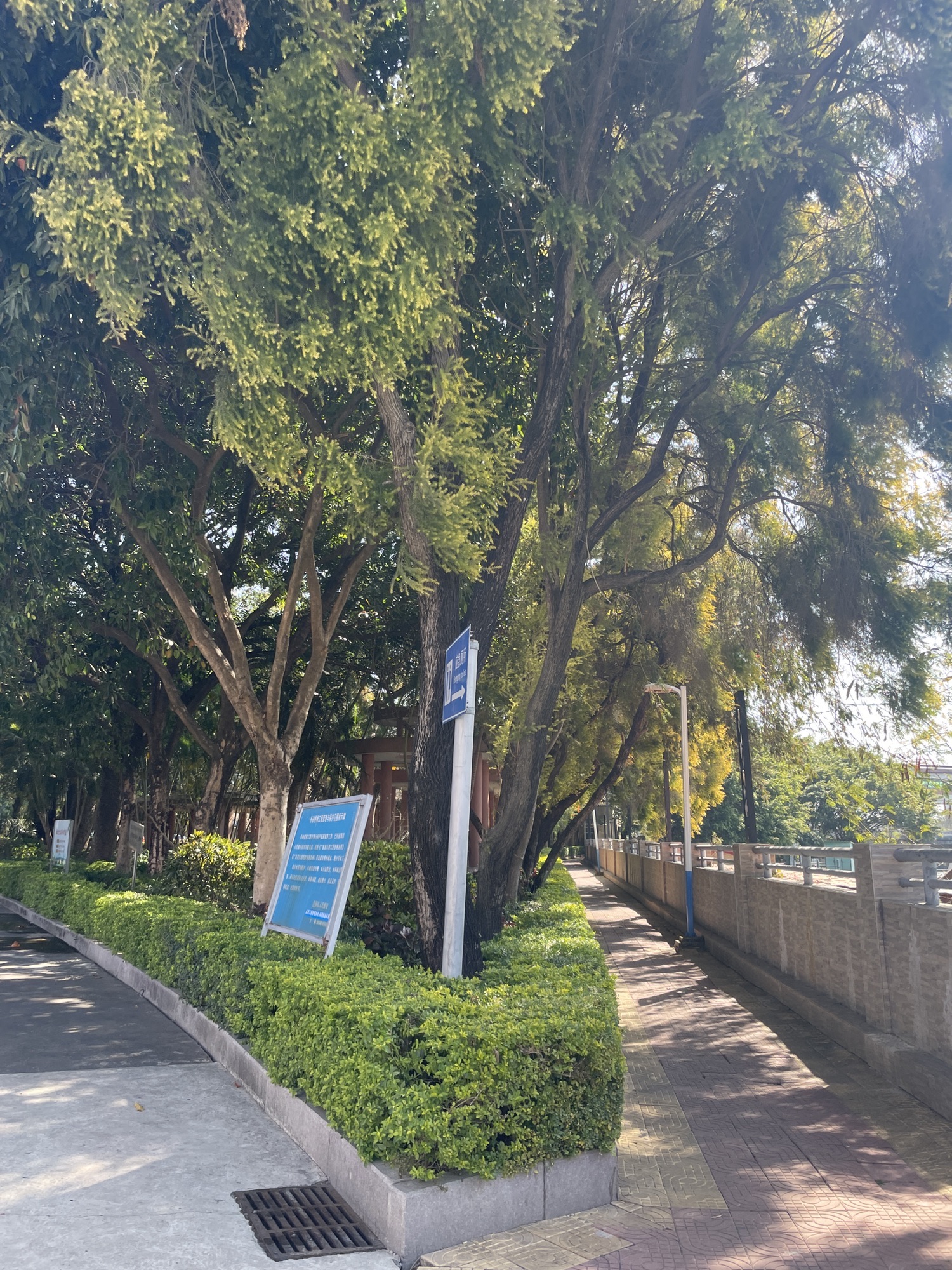 红头船公园旅行图片 3