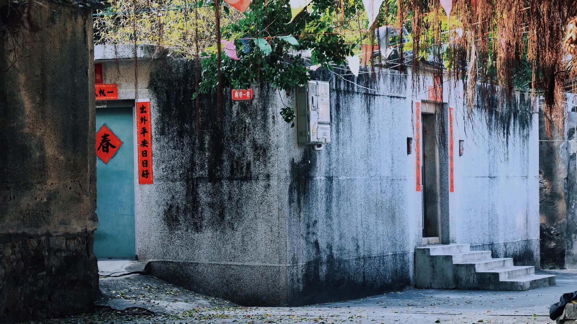 程洋冈村旅行图片 2