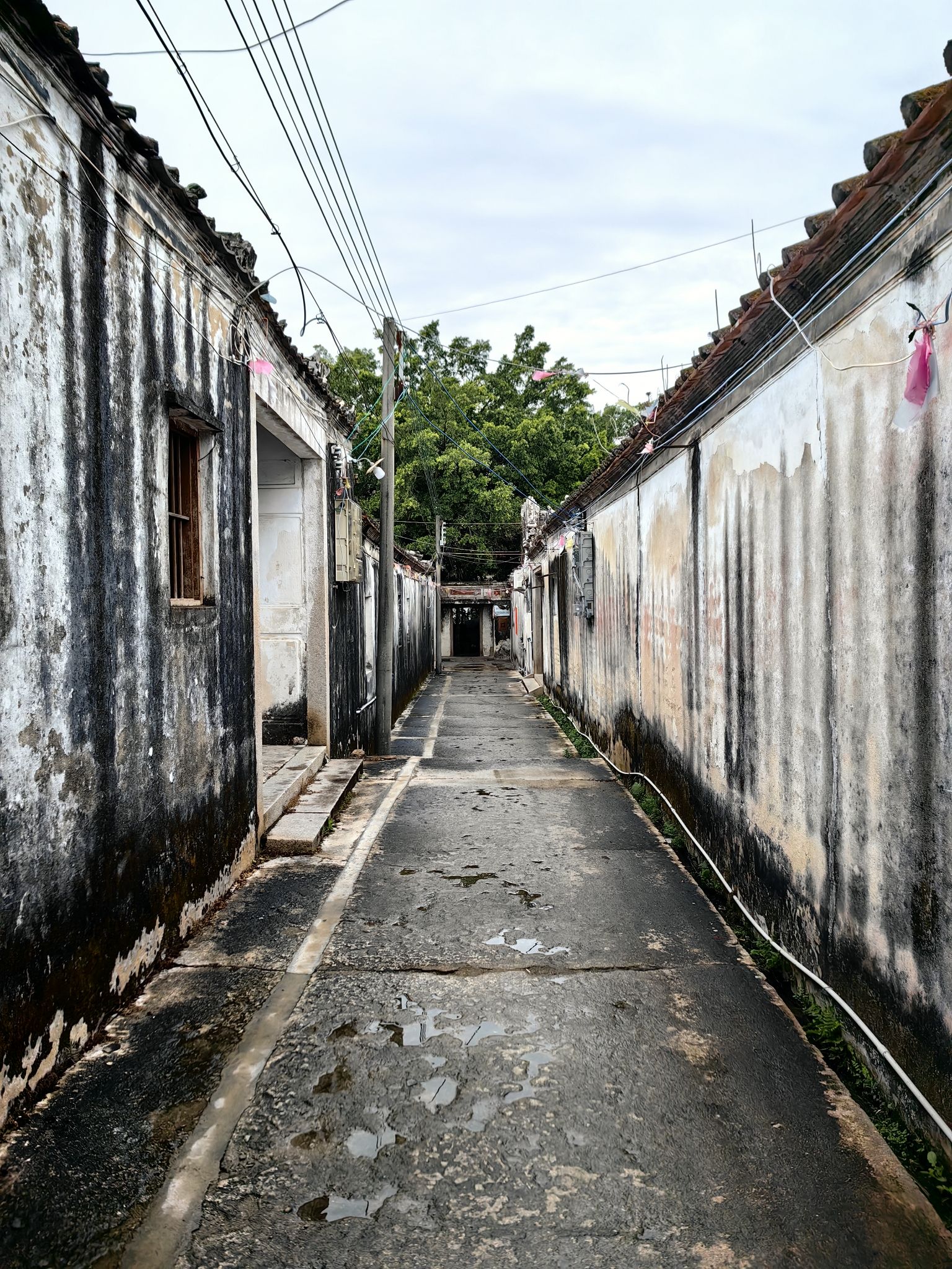 程洋冈村旅行图片 3