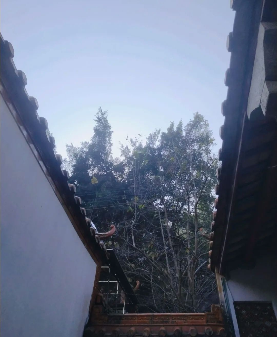 古雪岩旅行图片 1