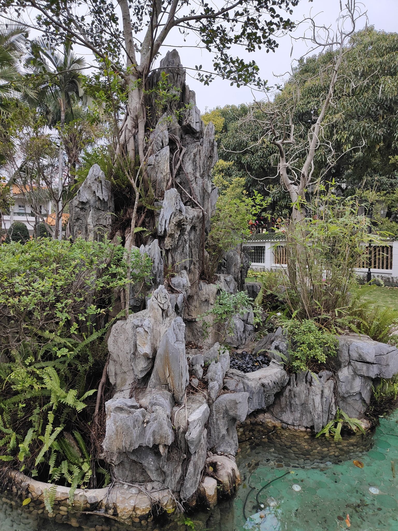 澄海人民公园旅行图片 1