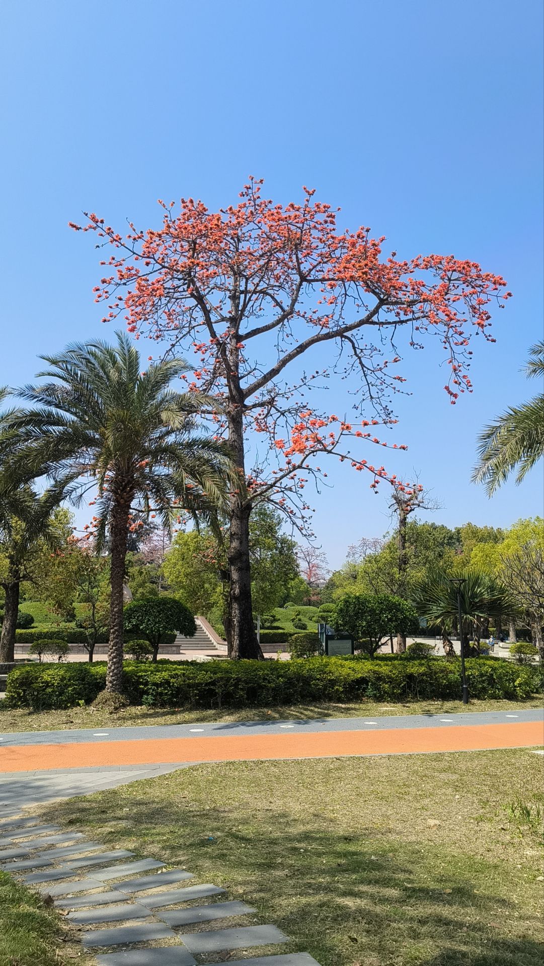 澄海人民公园
