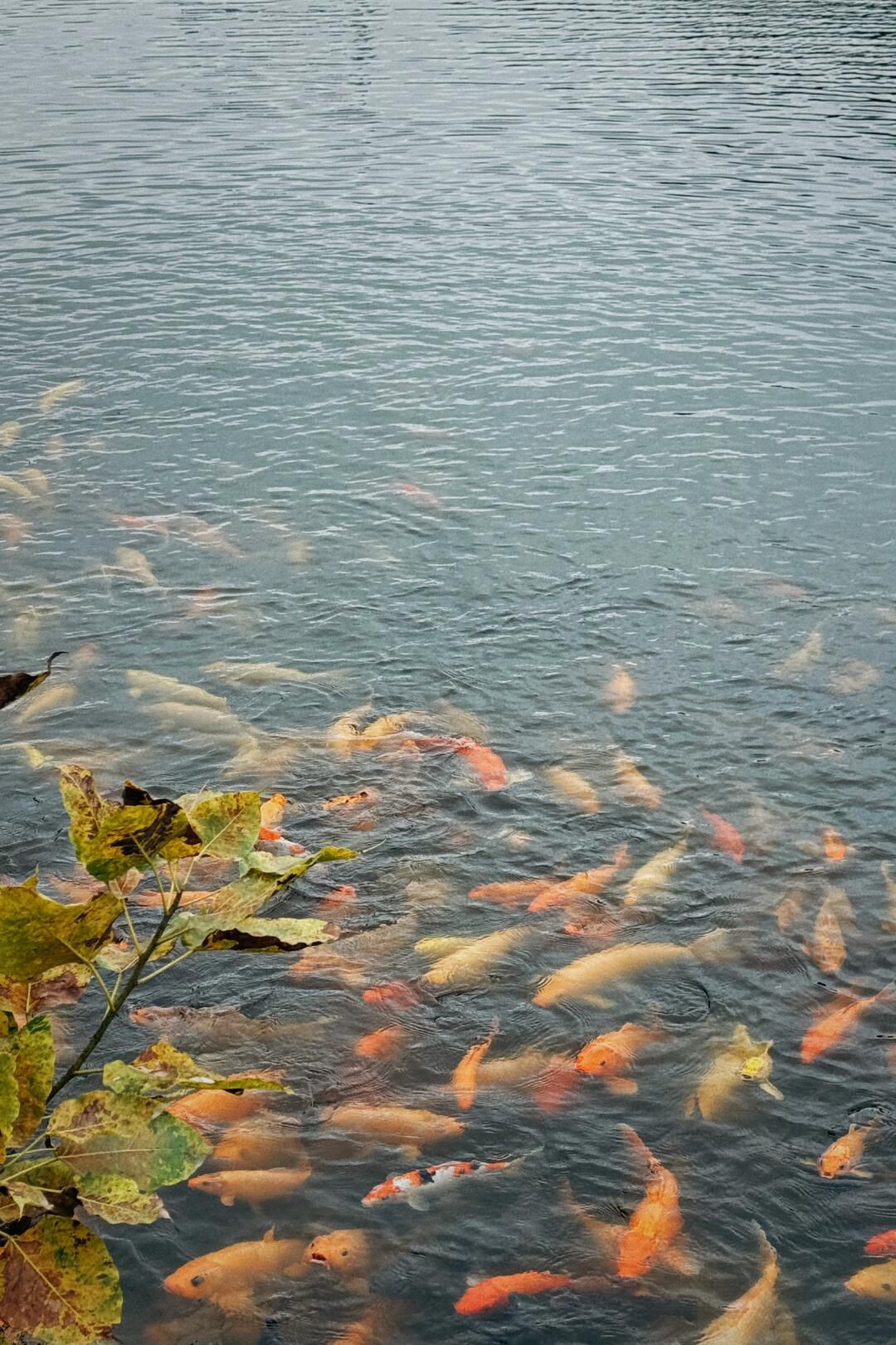 塔山风景区旅行图片 1