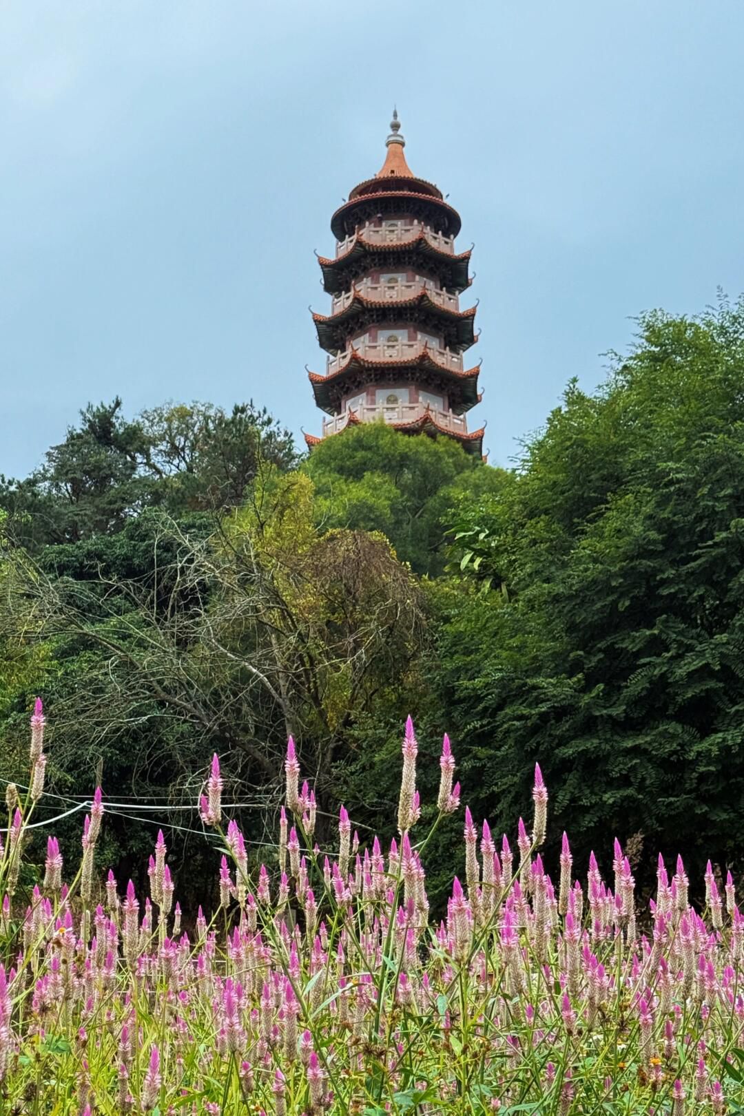 塔山风景区旅行图片 3