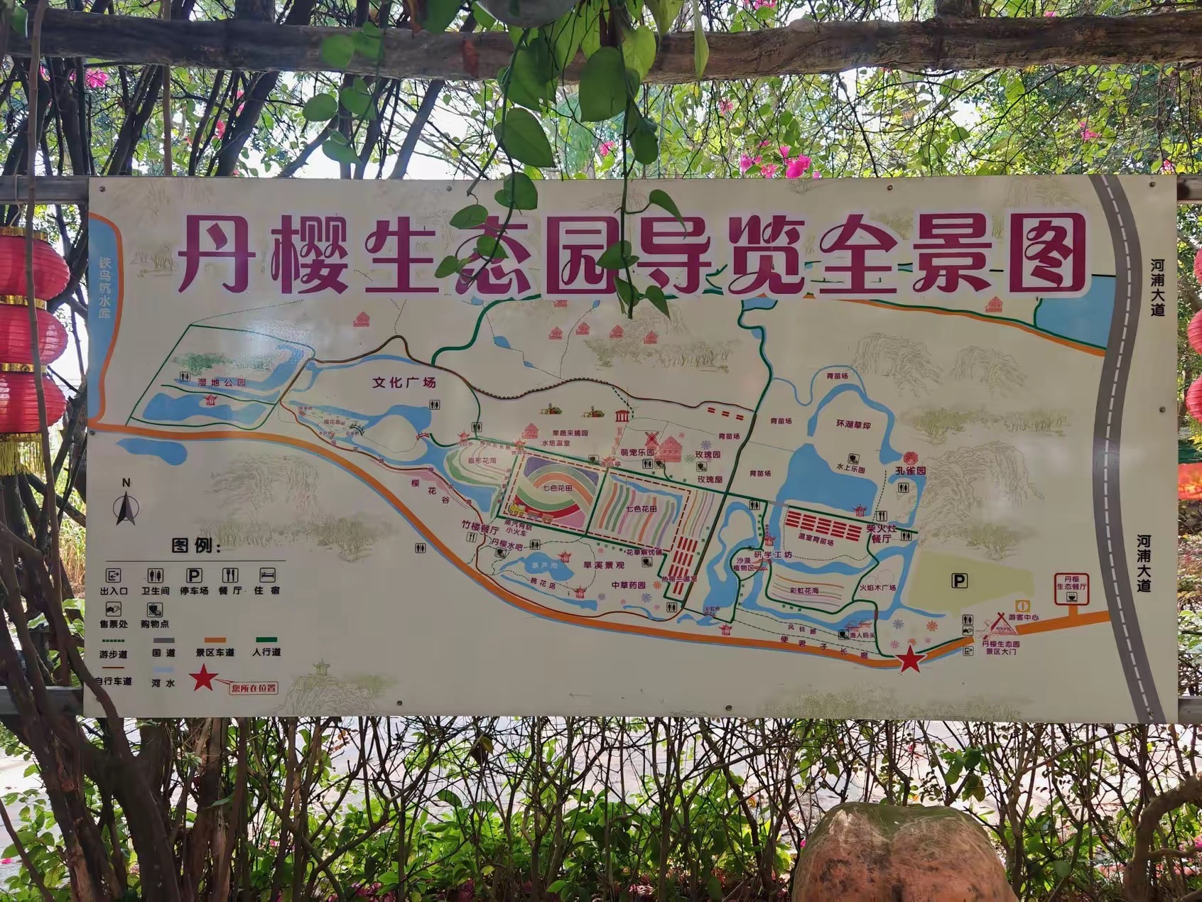 丹樱生态园旅行图片 2