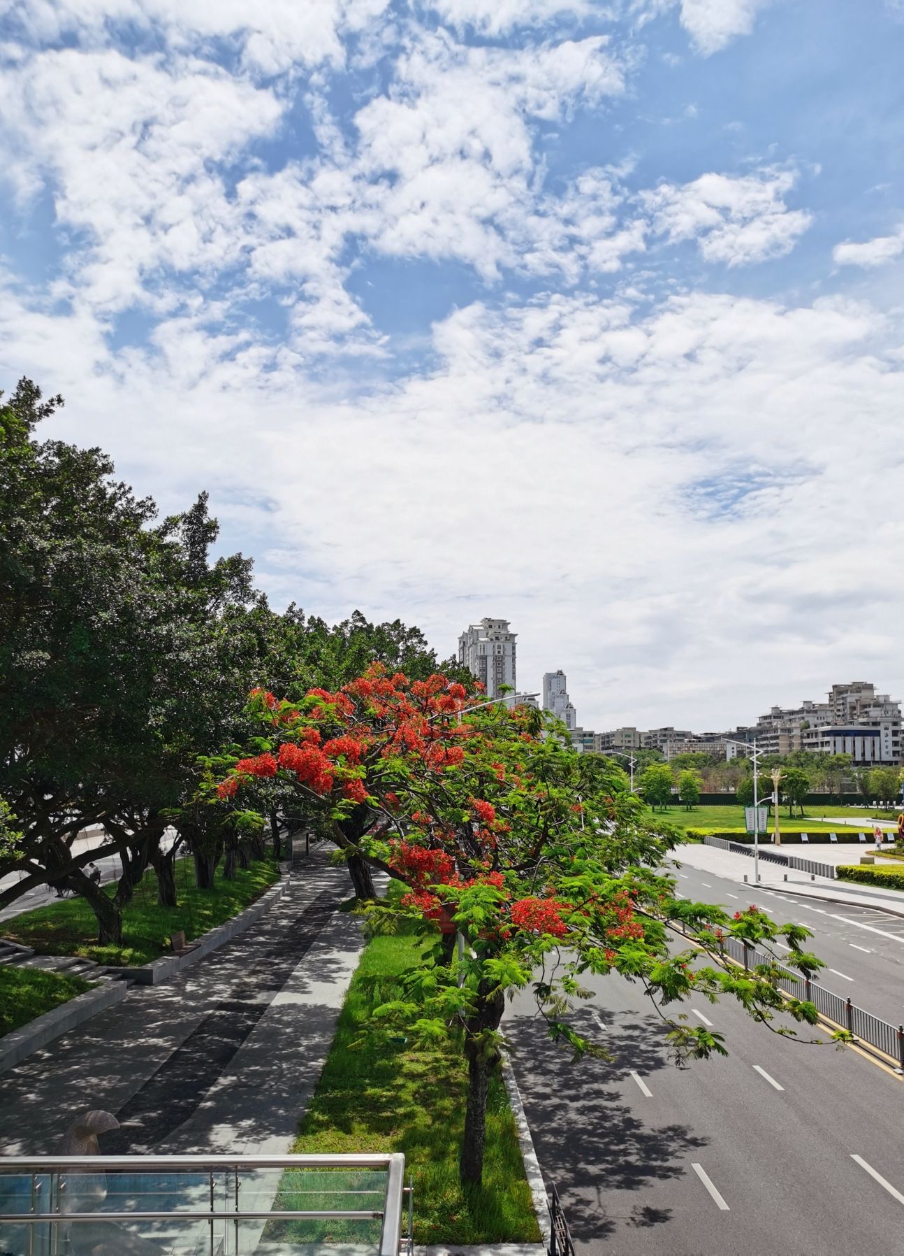 海滨长廊公园旅行图片 3
