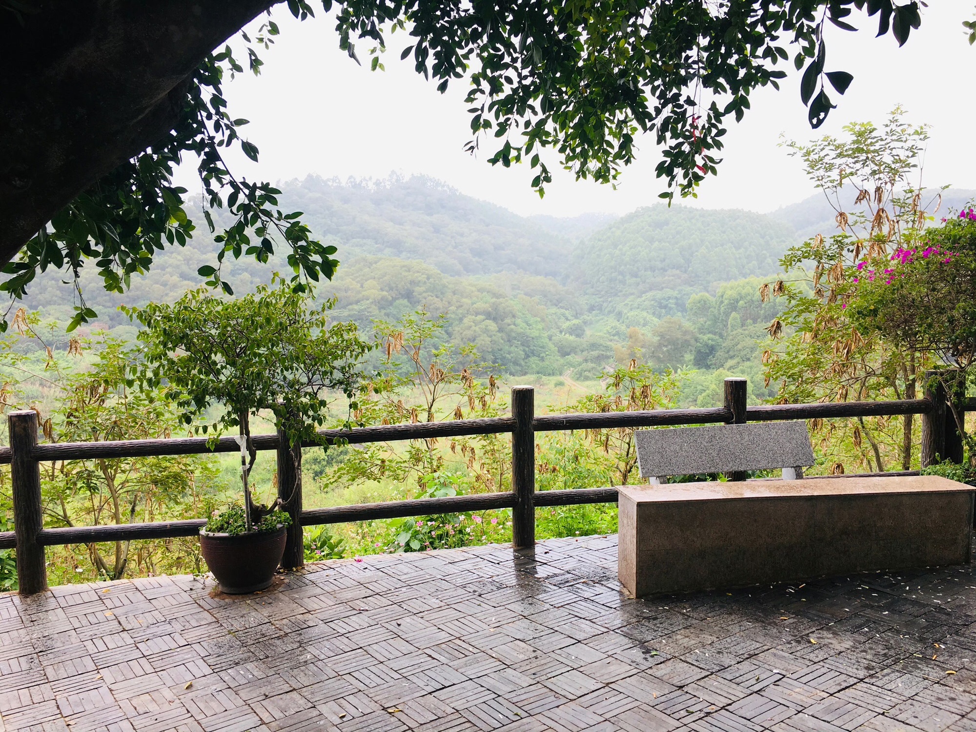 莲华乡村旅游区旅行图片 1