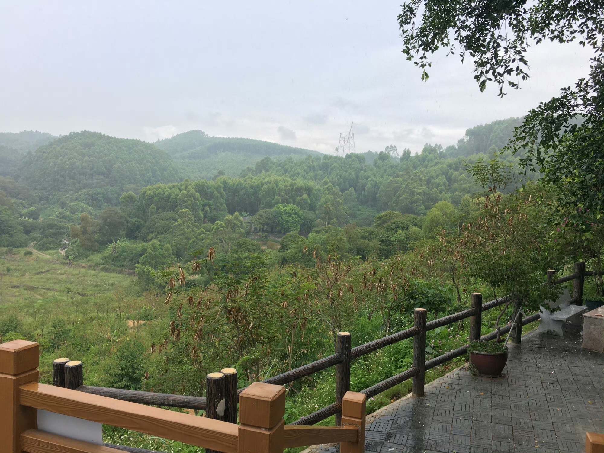 莲华乡村旅游区旅行图片 2