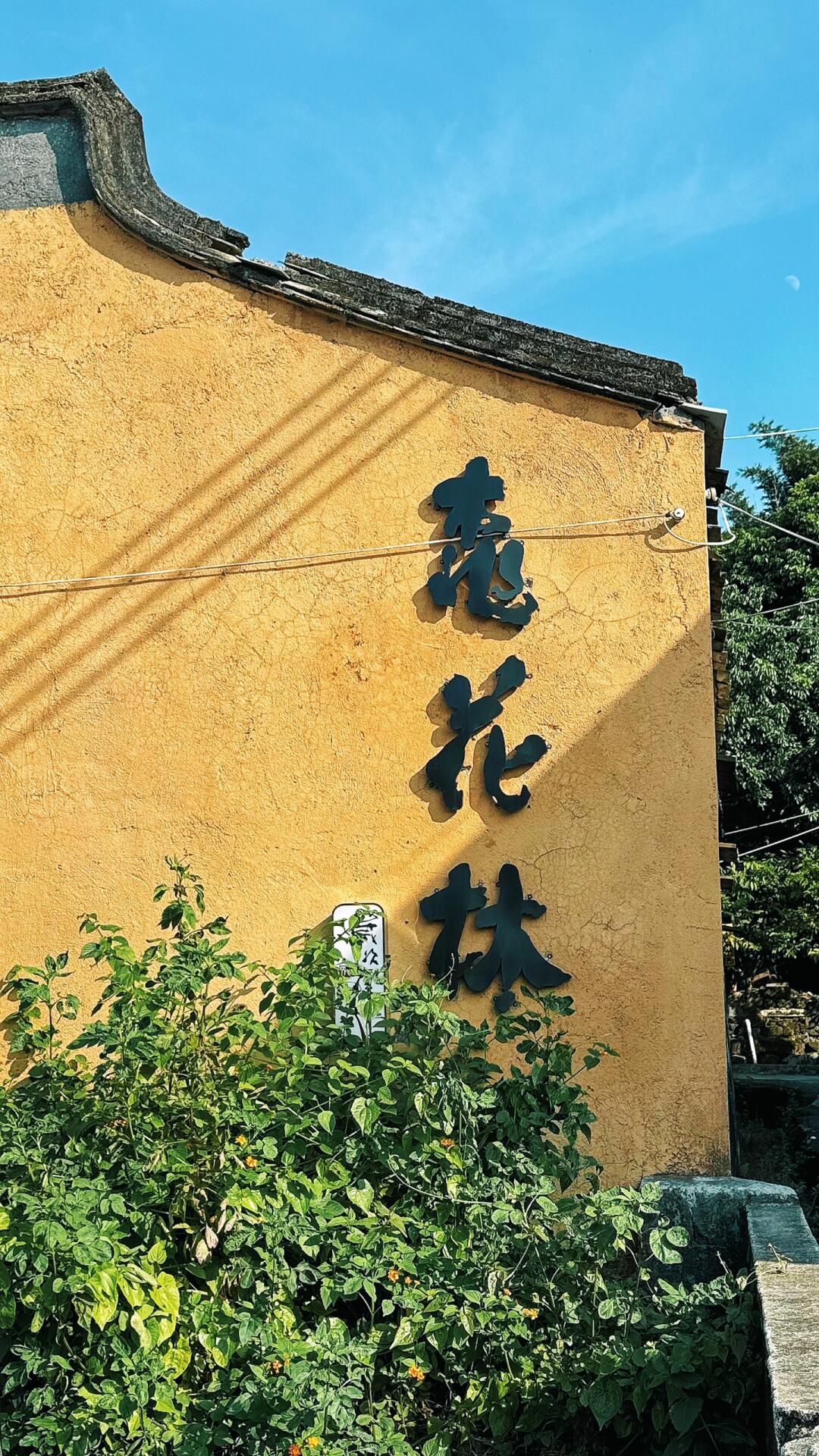 莲华乡村旅游区旅行图片 3