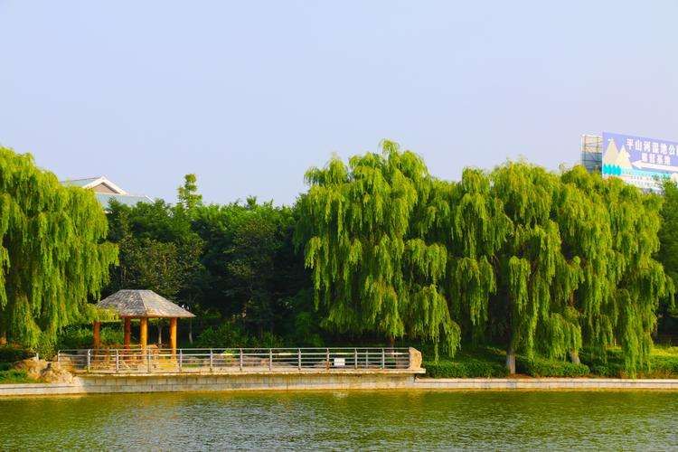 蓬莱公园旅行图片 2