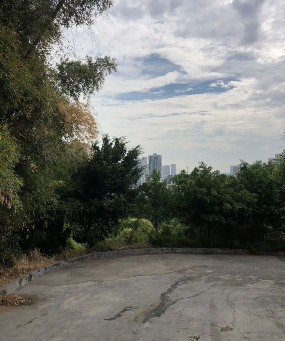 潮阳西环山森林公园旅行图片 1