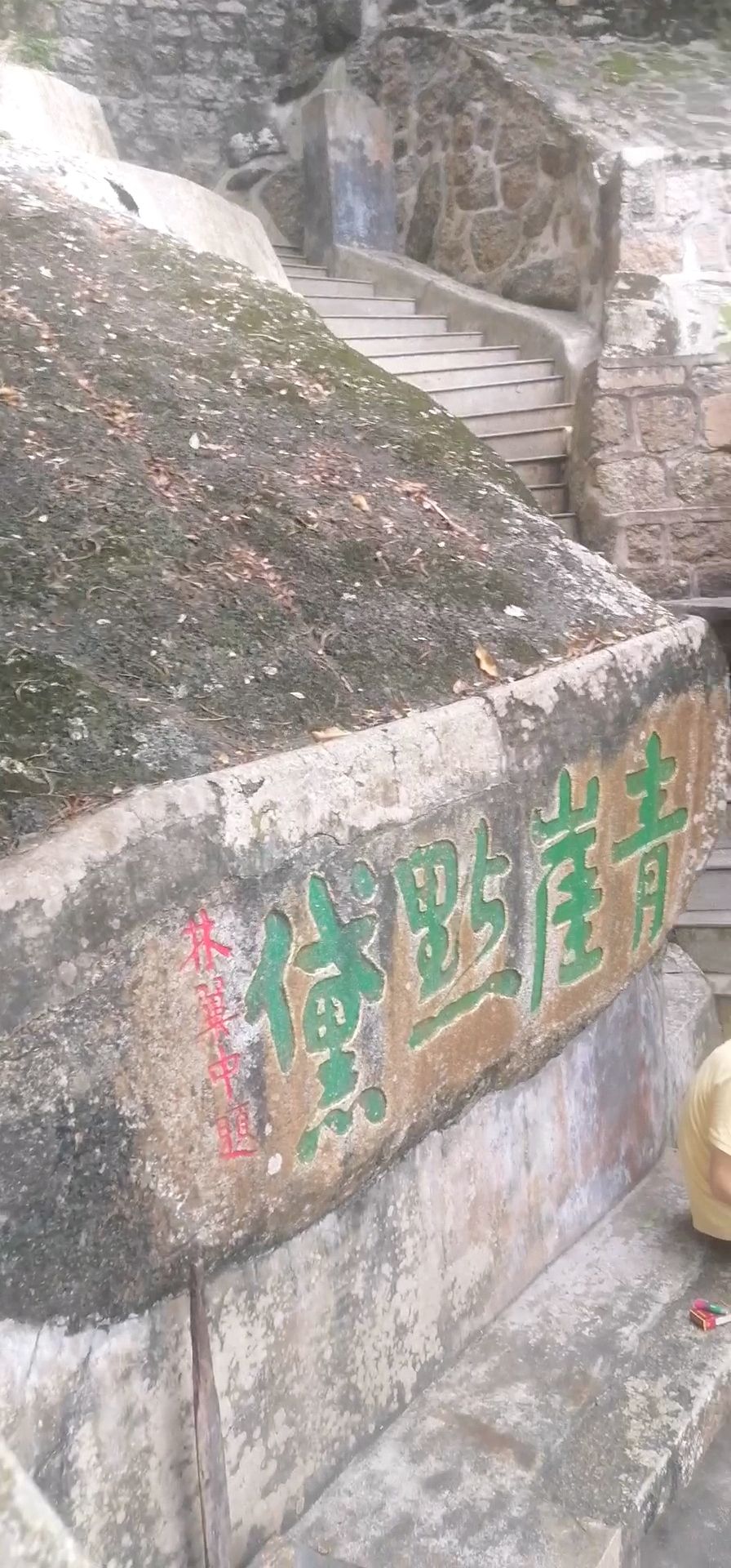 潮阳西环山森林公园旅行图片 1