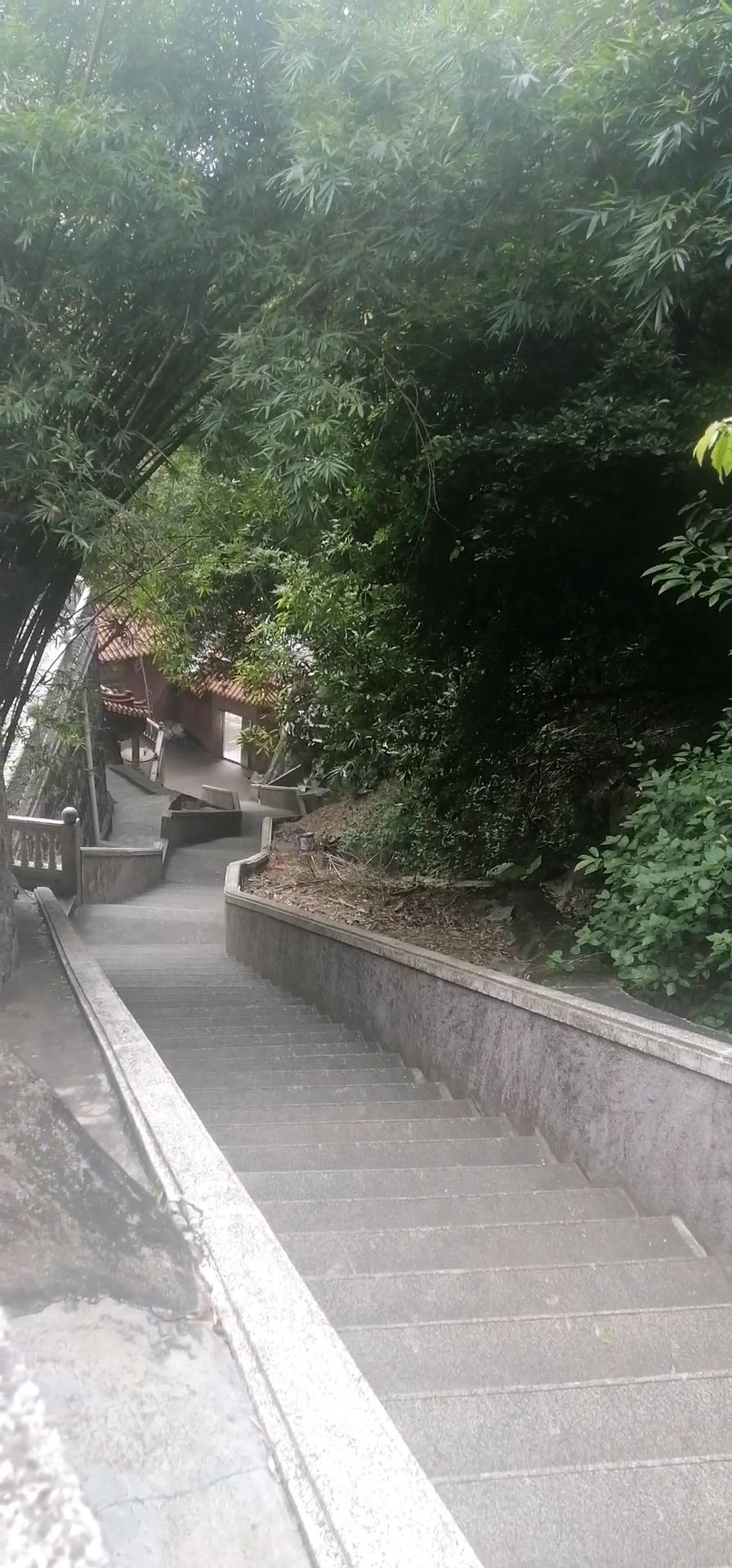 潮阳西环山森林公园旅行图片 2