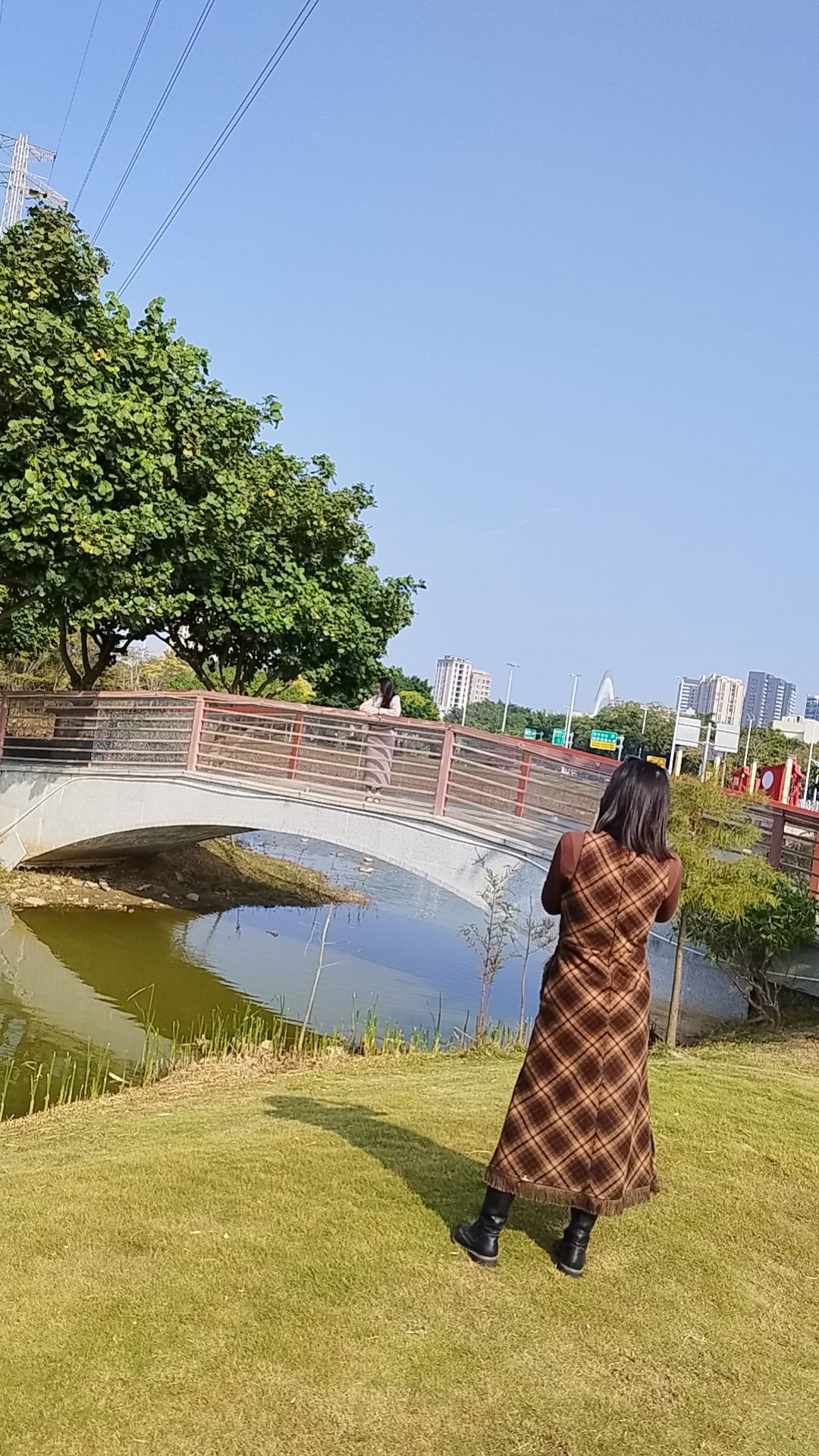 海湾湿地生态公园旅行图片 3
